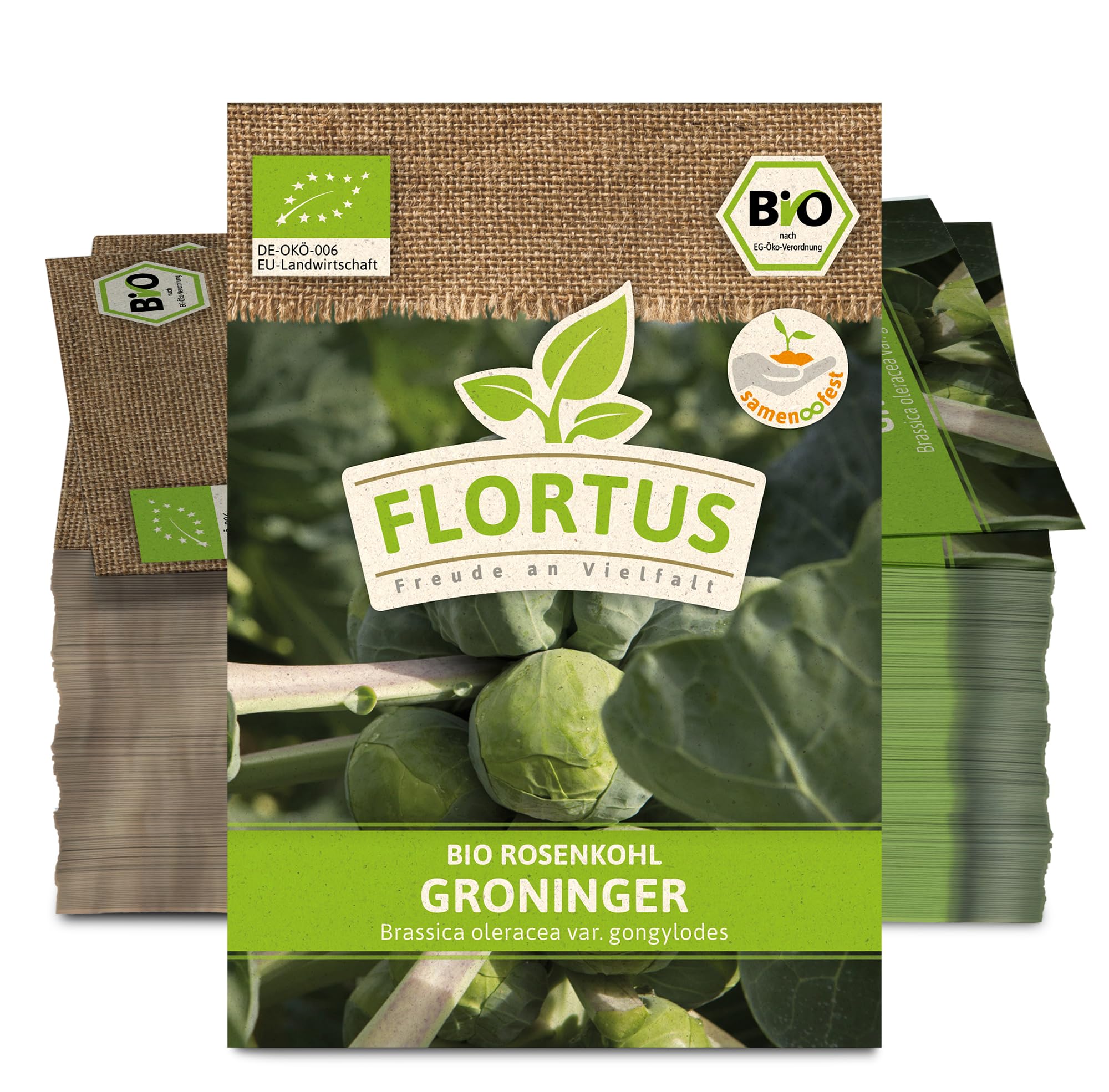 FLORTUS 2000-0504-100x Rosenkohl Groninger (100 Stück) (BIO Kohlsamen)