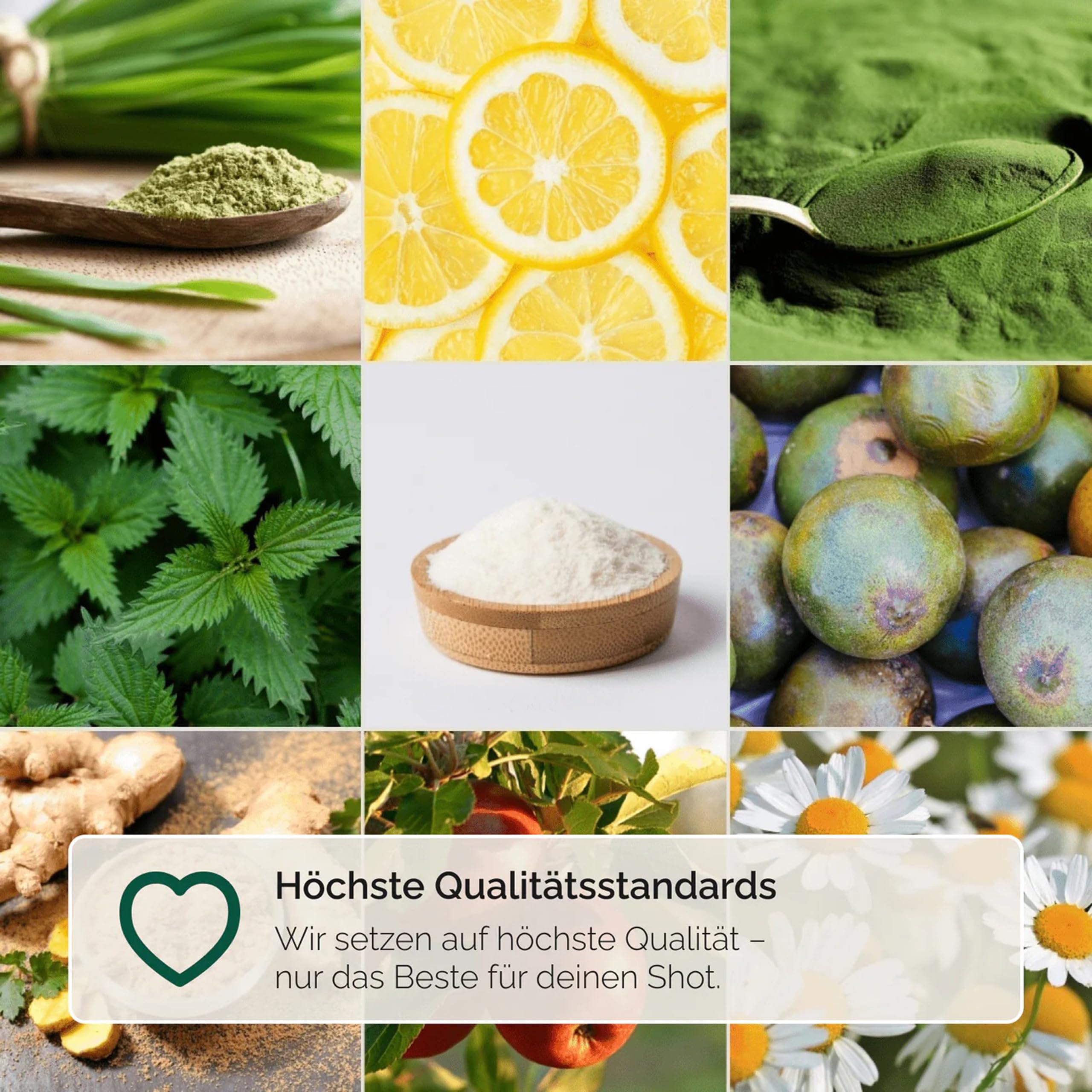 Hansegrün - Bio Grüne Darm¹ Shots (50 Stk.) - Superfood-Pulver mit Gerstengras - Vegane Greens für die Darm-Gesundheit¹ - mit Chlorella & Brennessel - 100% echte Zutaten zur täglichen Zubereitung