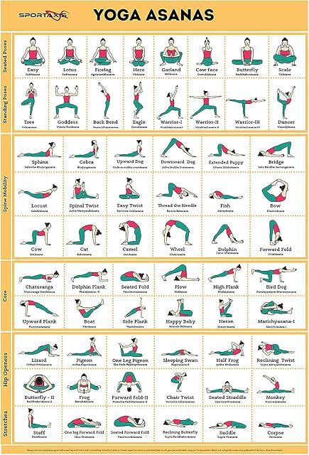SPORTAXIS Yoga Poses Poster- 64 Yoga Asanas For Full Body Workout- Laminated Home Workout Poster With Colored Illustrations - English And Sanskrit Names
