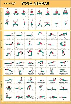 amazon com sportaxis yoga poses poster 64 yoga asanas for full body workout laminated home workout poster with colored illustrations english and sanskrit names 18 x 27 double sided sports outdoors
