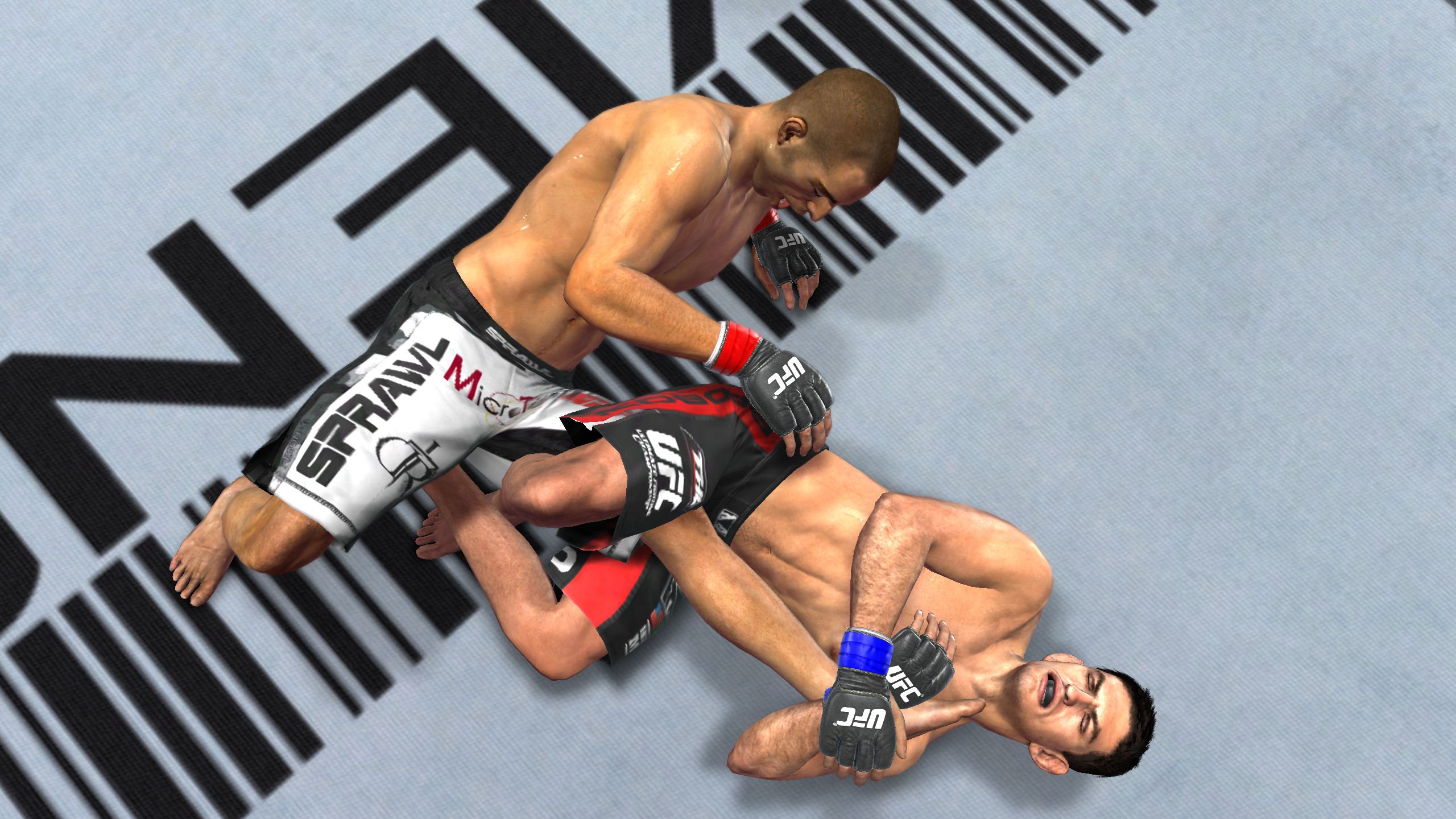 THQ UFC Undisputed 2010