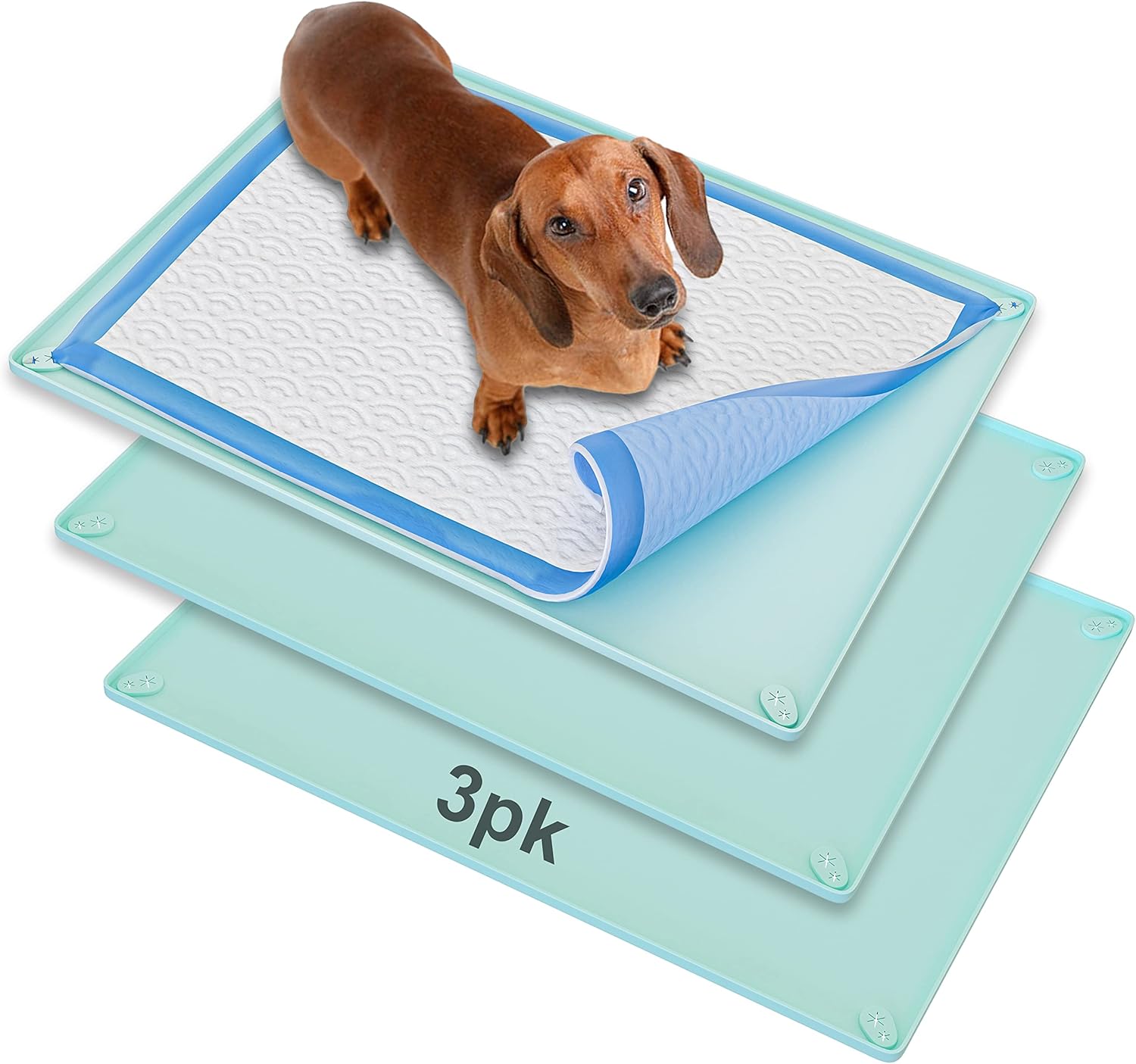 Skywin Pee Pad Holder No Spill and Leaks Silicone Puppy