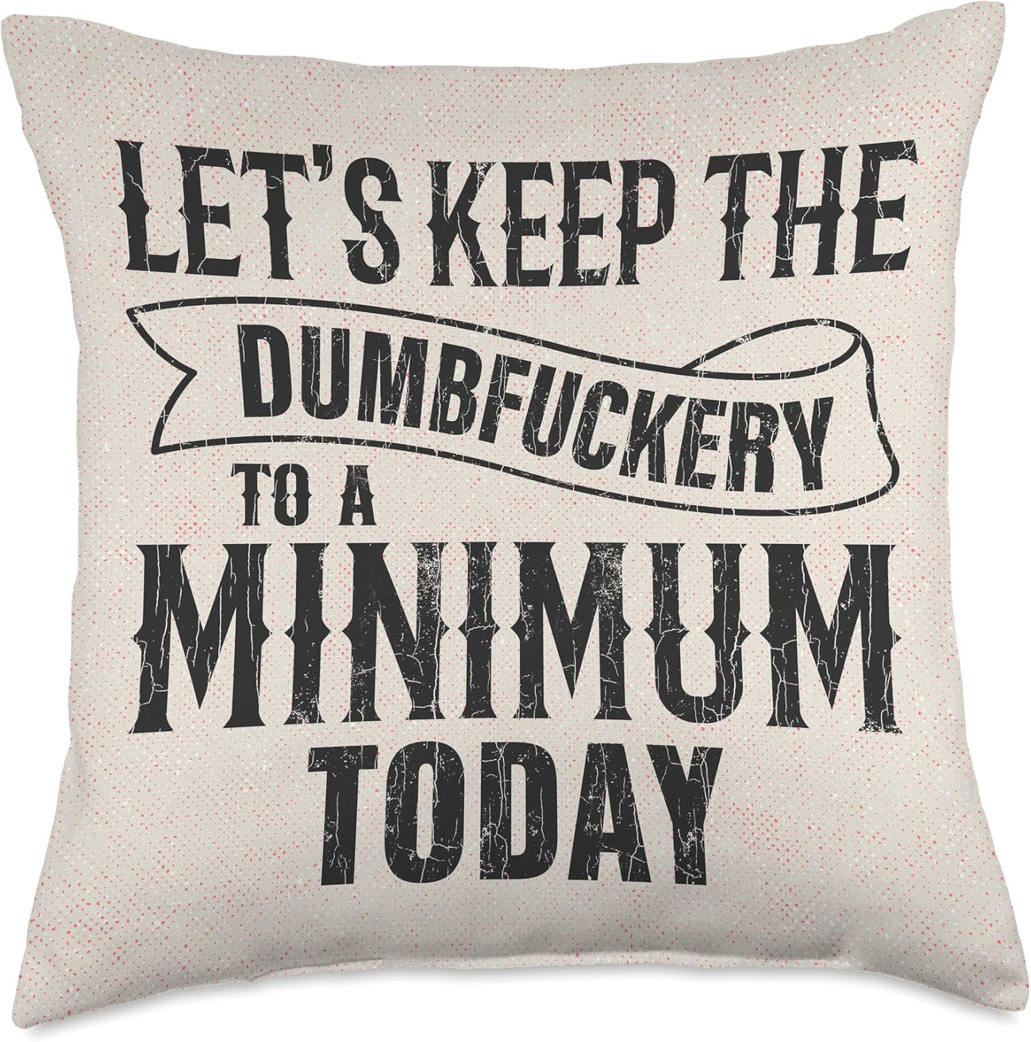 Lets Keep The Dumb To A Minimum Cushion Pillow Funny Gift Throw Pillow