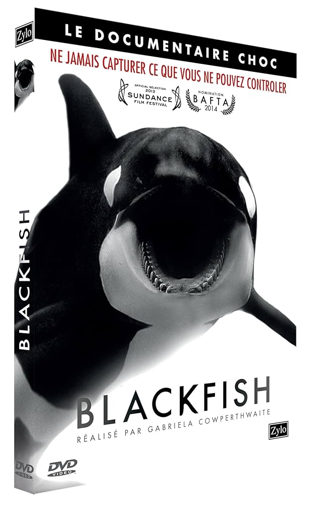 その他 Blame It on the Fish [DVD] Amazon.co.jp: Blackfish : DVD