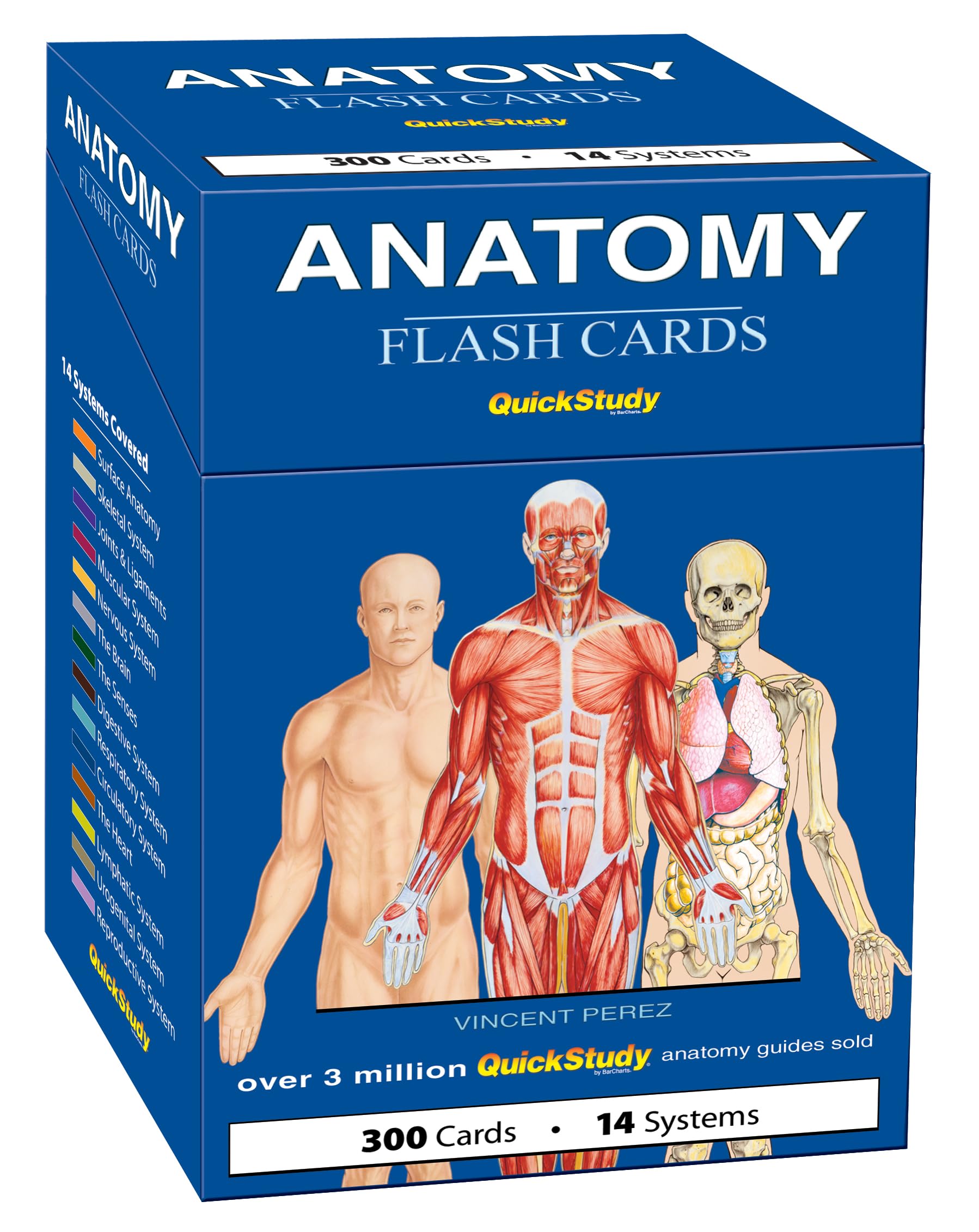 Anatomy Flash Cards: a QuickStudy Reference & Study Tool