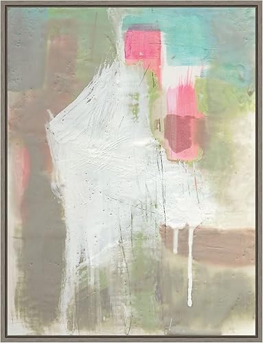 Amanti Art Framed Canvas Wall Art 24x18 Retro Splash II by Jennifer Goldberger, Framed Wall Art Canvas, Abstract Artwork, Country Rustic Decor,