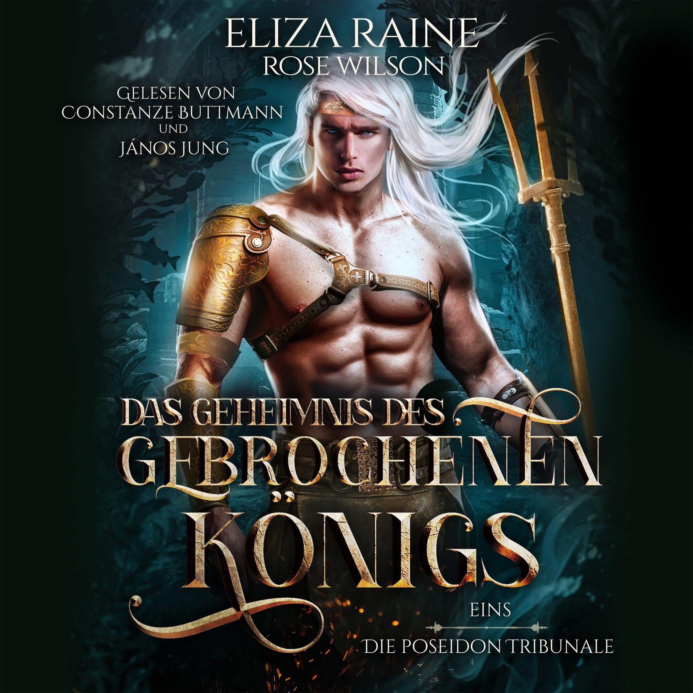 Cover art for Das Geheimnis des gebrochenen Königs
