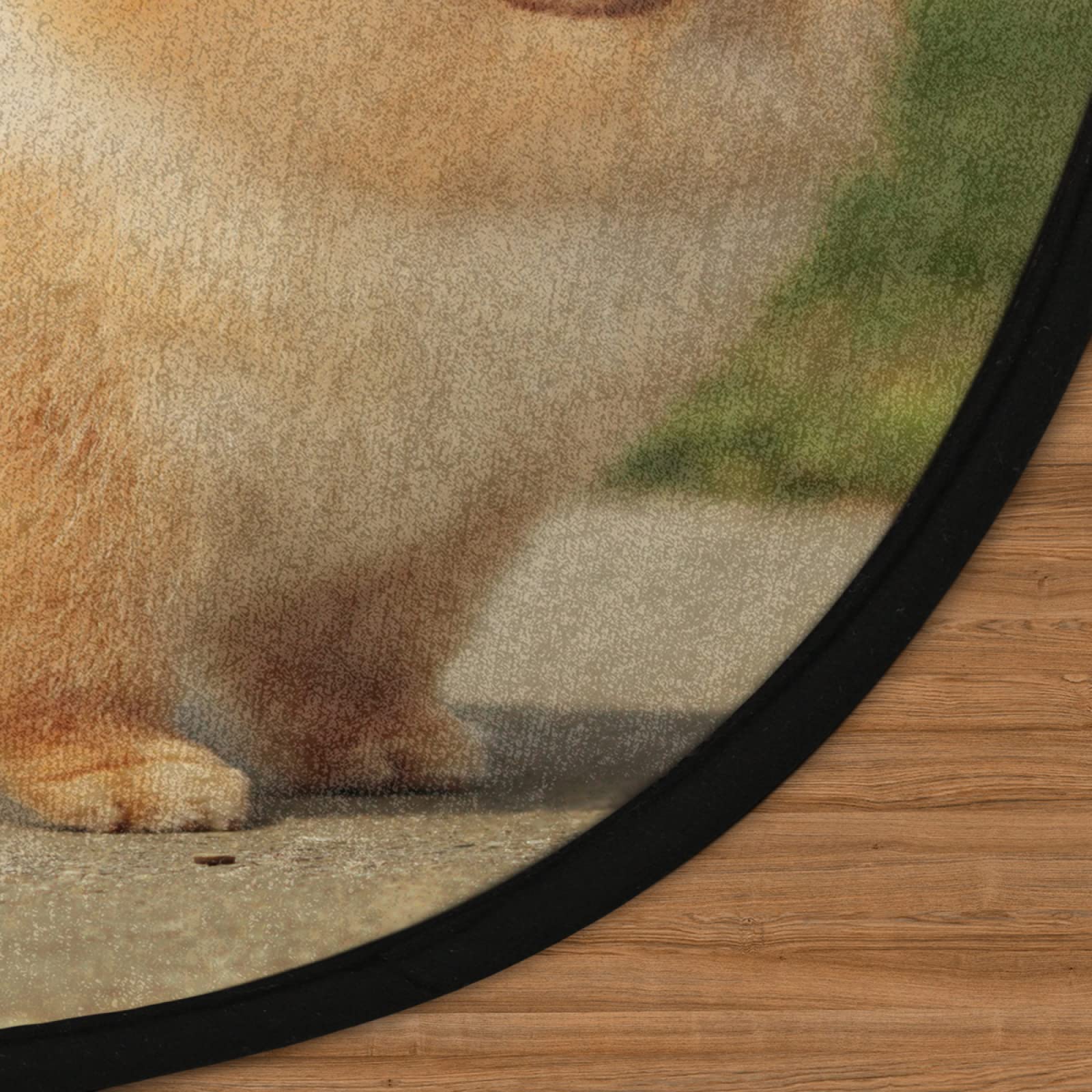 Tapis rond mignon de Poméranie de 91,4 cm, lavable en machine, antidérapant, doux, pour salon, chambre d'enfant, décoration de chambre d'enfant