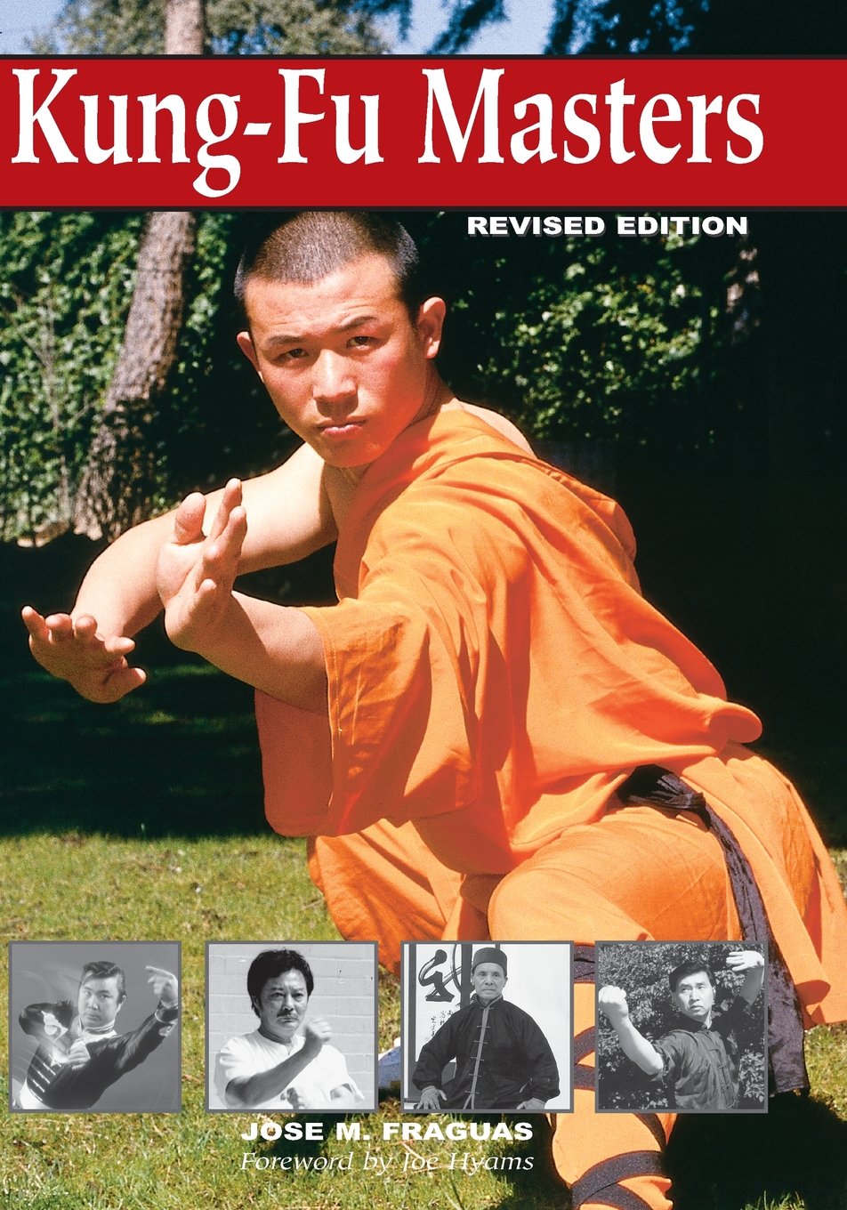 Kung Fu Masters