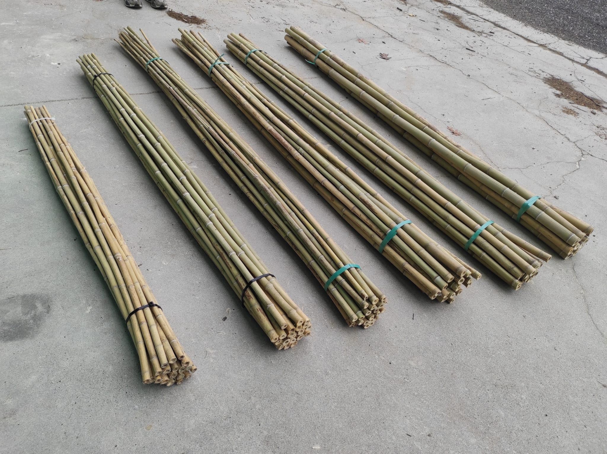 Oasi Bambu- Canne Bambu per Sostegno per ORTAGGI E RAMPICANTI, Ideale per ORTAGGI, Piante E ORTO - Canna Bamboo Moso- trattato in Modo Naturale (10, h 180 diam 4-5 cm)
