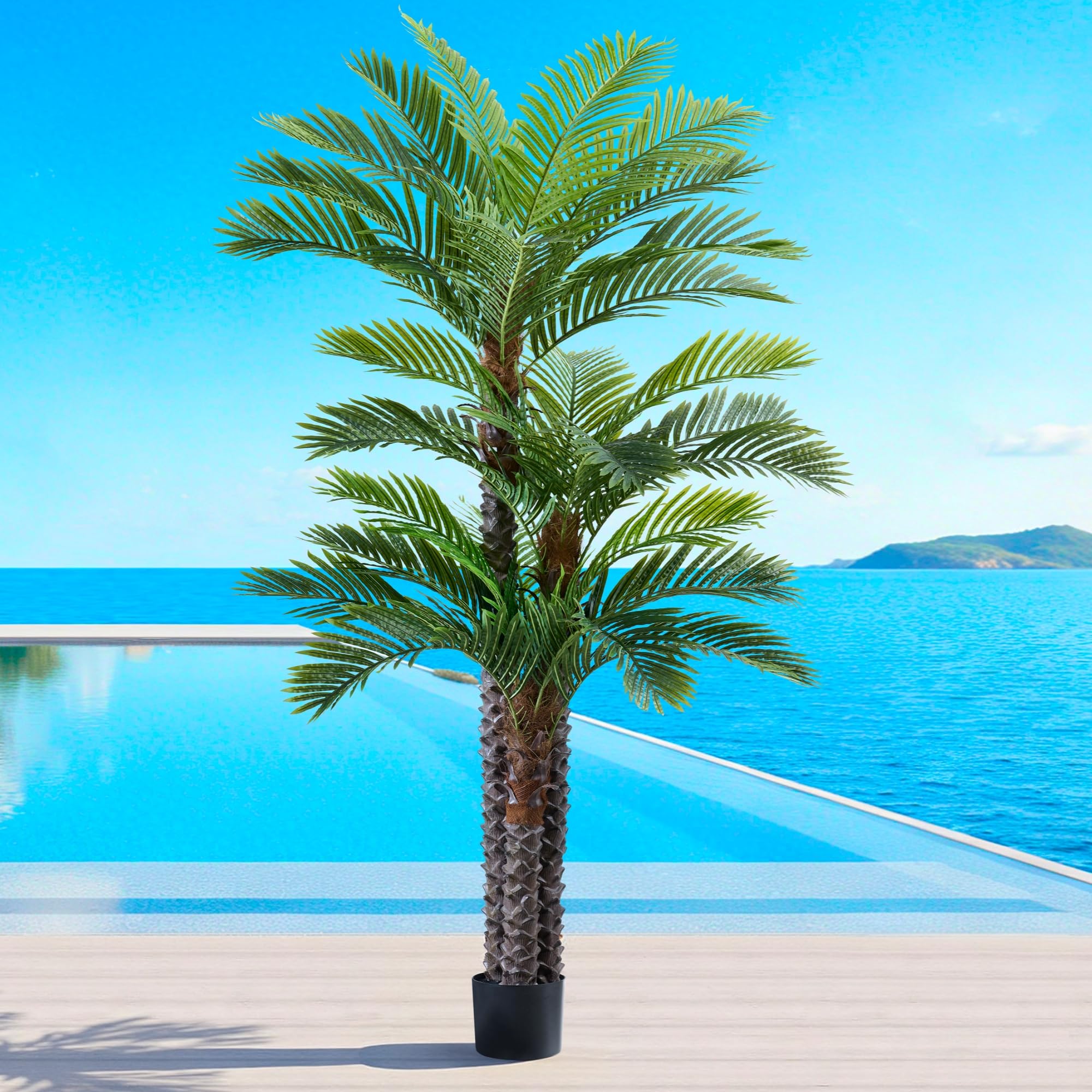 FloraFairy 8.5ft Triple Phoenix Palm
