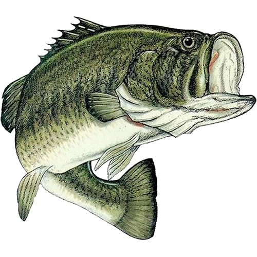 Large Fishing Bass Fish Sticker Decal Fishing Bumper Sticker Fish Auto Decal Car Truck Boat RV Real Life Pole Tackle Box Fisherman (8 Inch)