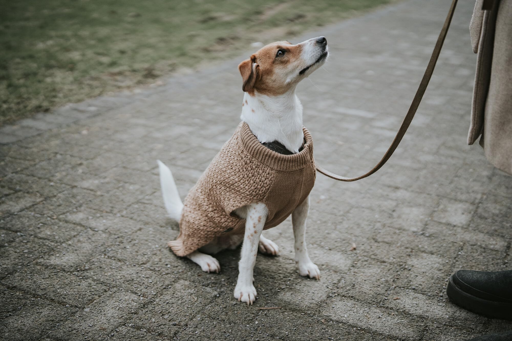HUNTER Hundepullover MALMÖ, Farbe: beige, klassisches Zopfstrick-Muster, wärmend & bequem, elastisch für optimalen Sitz, reflektierend für mehr Sichtbarkeit, waschbar bei 30°C, Größe: 40
