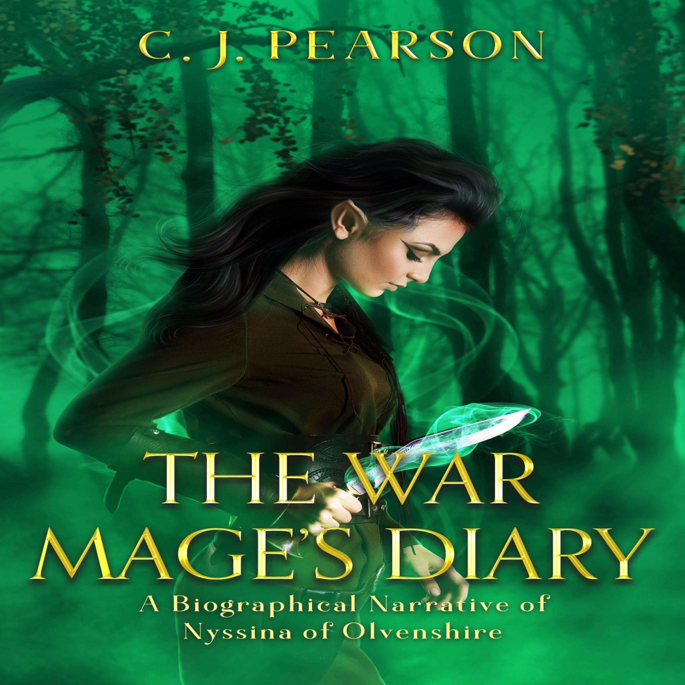 Cover art for The War Mage's Diary