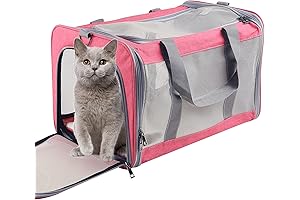 Large Soft Animal Carrier for Cats and Puppies