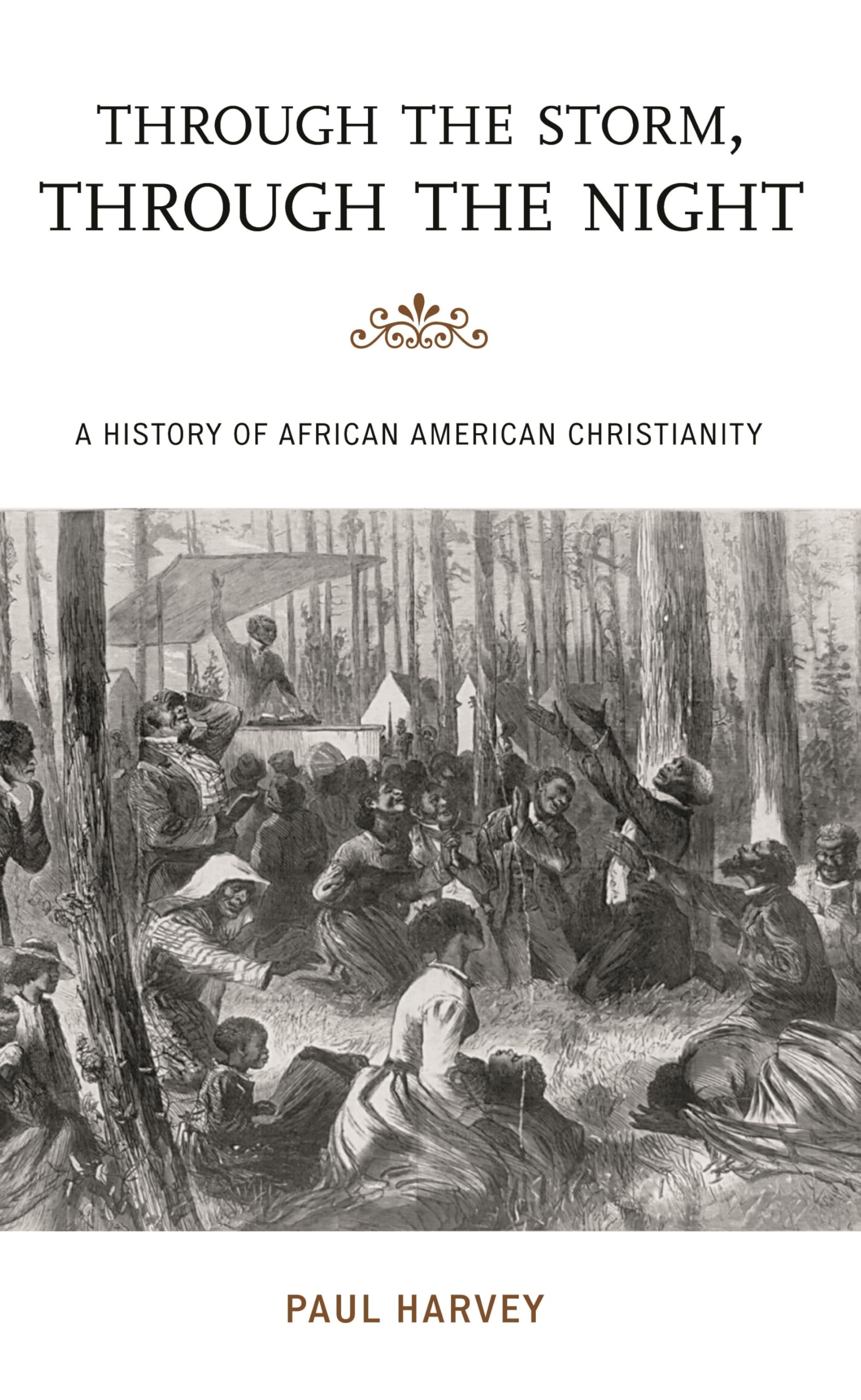 Through the Storm, Through the Night: A History of African American Christianity (The African American History Series) (The African American Experience Series)