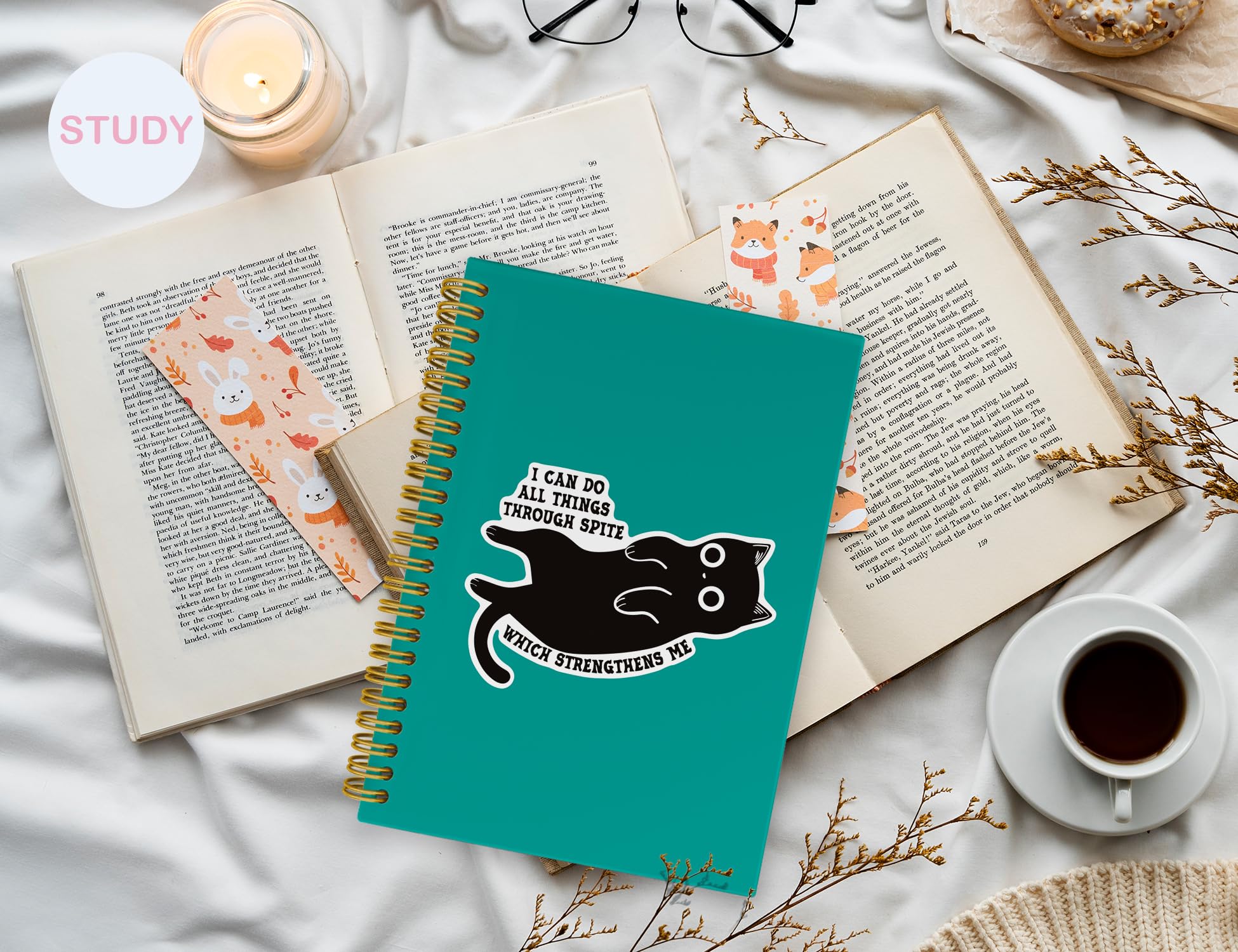 ICEWHITEY Taccuino divertente con gatto nero, regalo con gatto nero, I Can Do All Things Through Spite Journal, regalo sarcastico per donne, uomini, colleghi, forniture per ufficio con gatti, quaderno