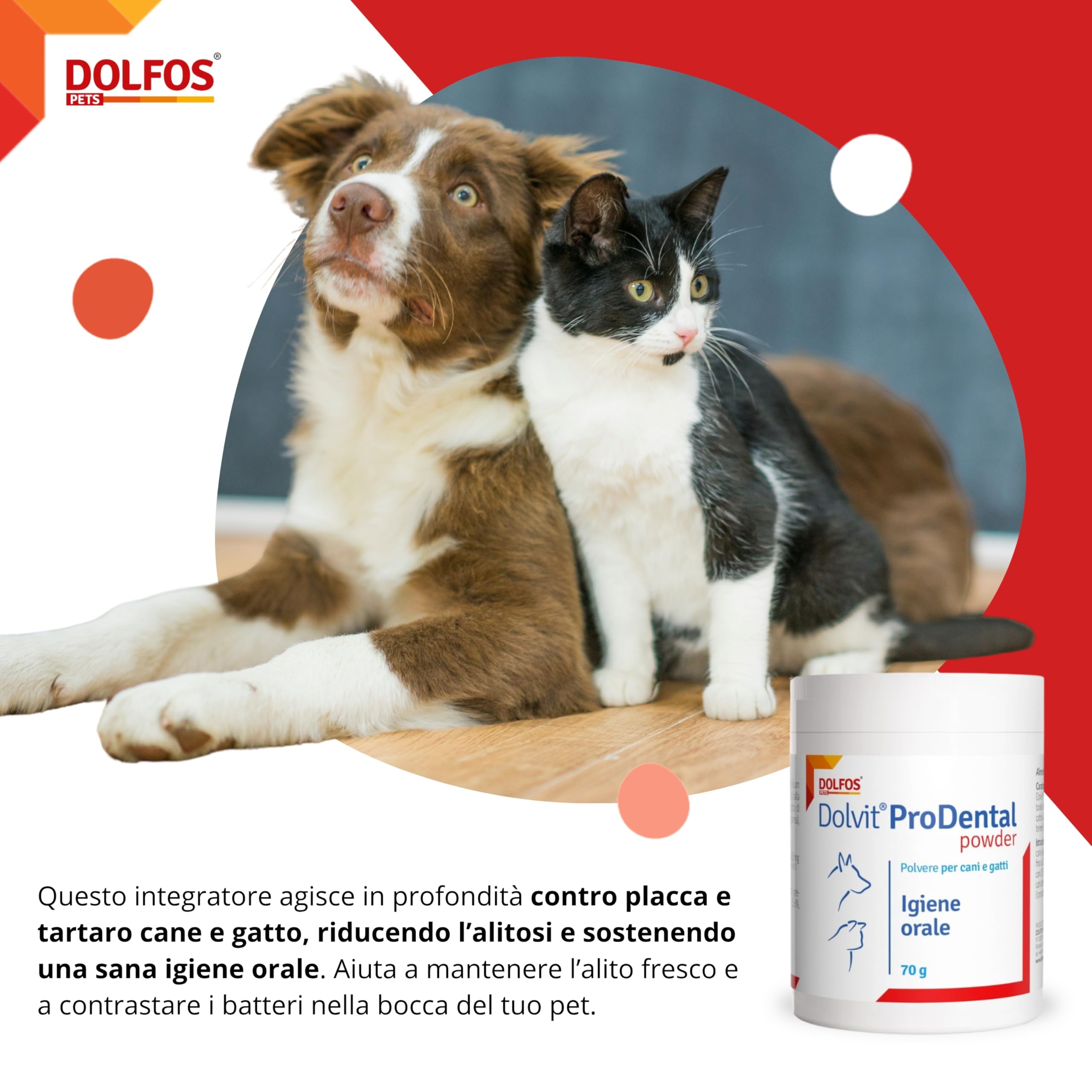 Dolvit Prodental Integratore per Igiene Orale Cane Gatto - Pulizia Bocca Cani e Gatti dai Batteri - Rimuove Placca, Tartaro e Alitosi Rendendo Fresco l’Alito - Confezione da 70 gr