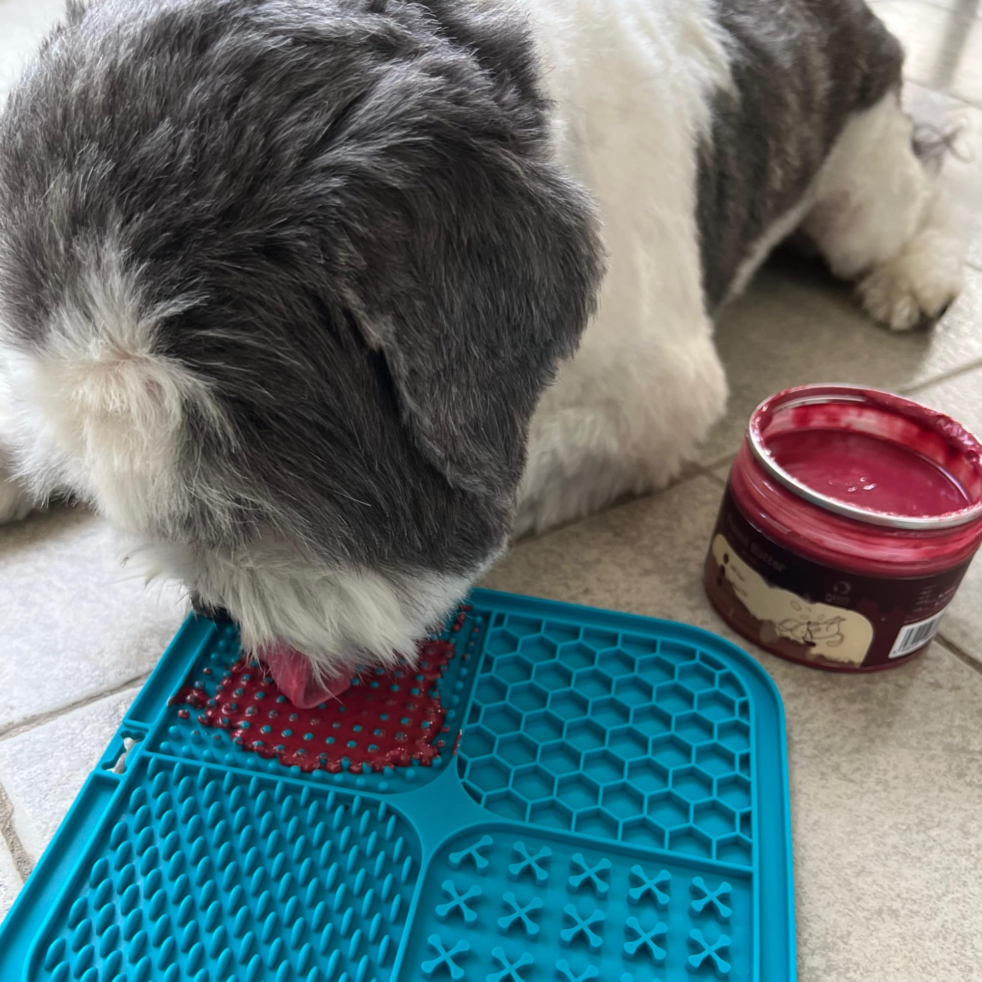 Paws for Greens Dog Peanut Butter 100% Natural & Healthy Treat & Food Topper with Hemp Seeds No Xylitol, No Preservatives Safe for Dogs & Puppies Made in India -275g (Pack of 1, Cranberries) 1