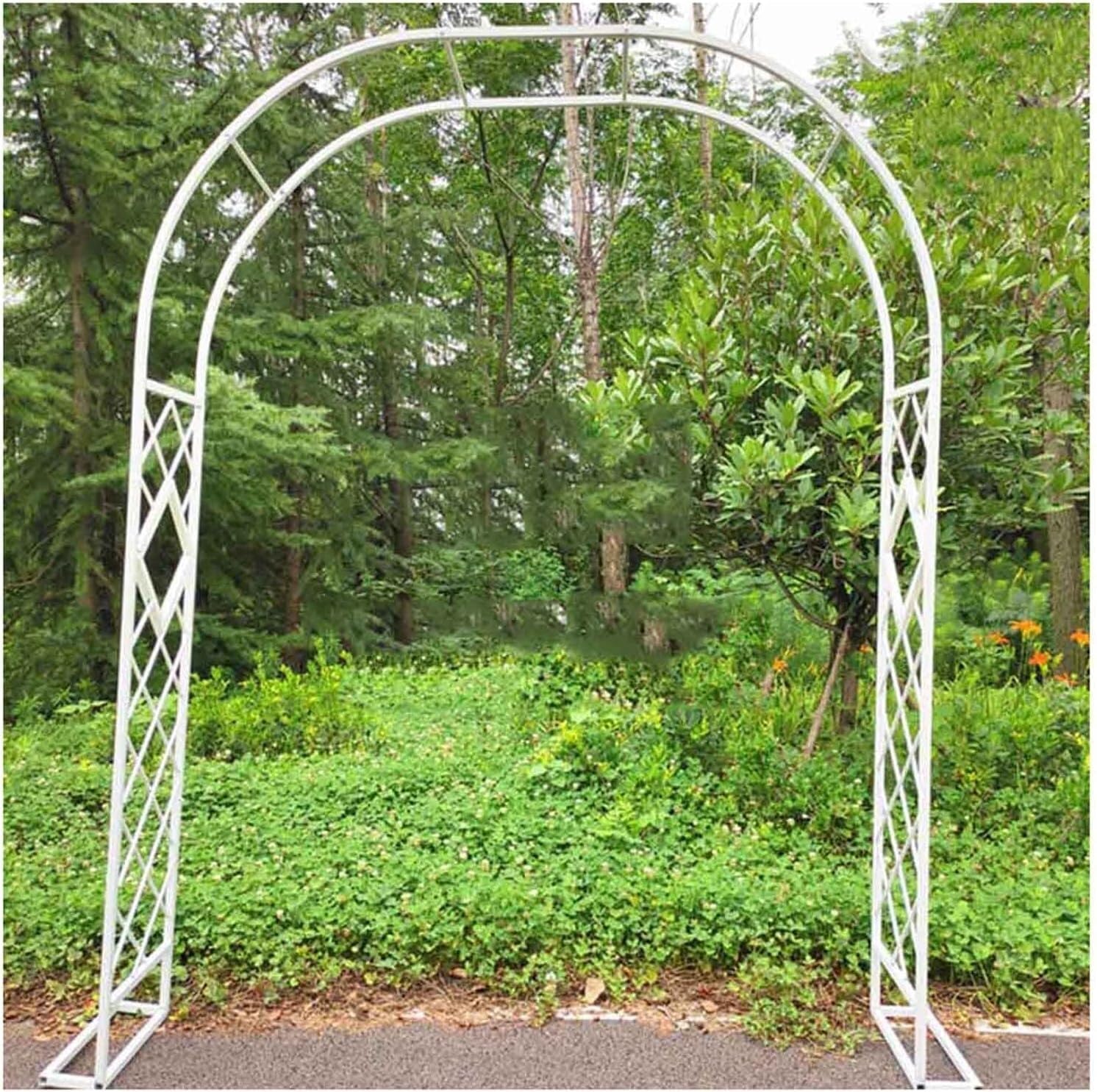 Arc de jardin en métal blanc W260xH230cm treillis de rose
