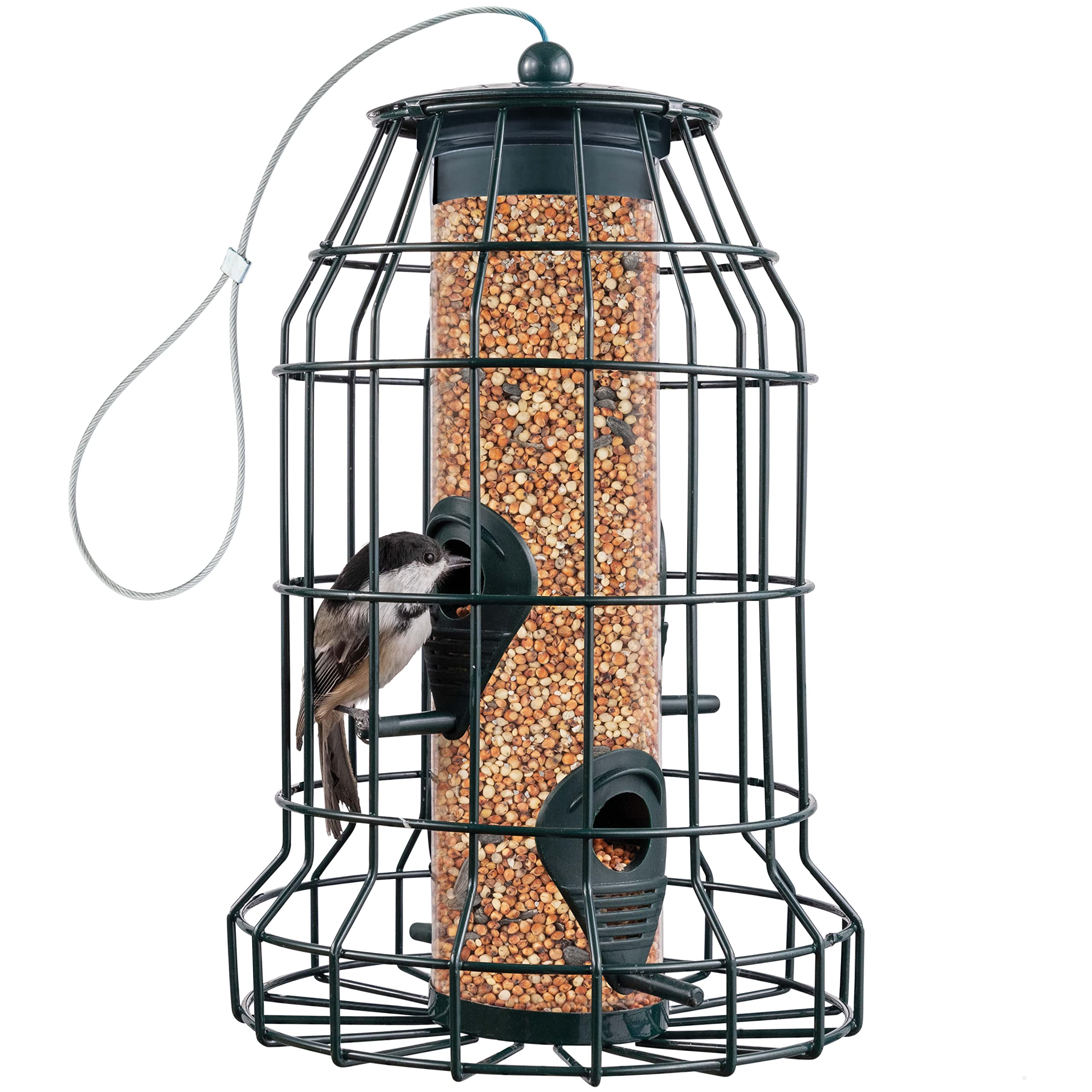 Buy Squirrel Resistant Bird Feeders 22 oz. Large Bird Feeder with 4 Perches For Small Backyard
