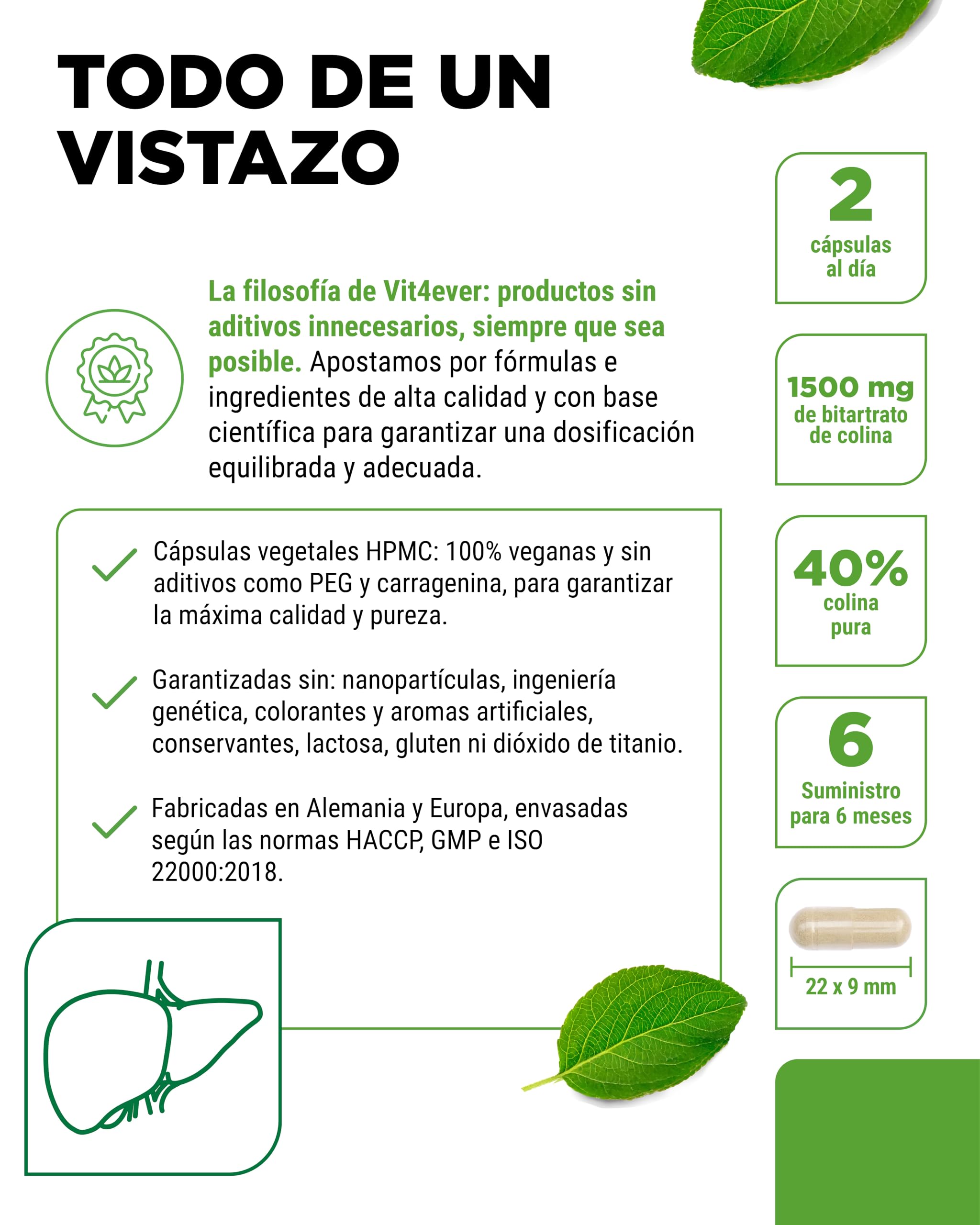 Cápsulas de colina – 365 cápsulas con 1500 mg de bitartrato de colina por dosis diaria – más de 6 meses de suministro – hígado, homocisteína y metabolismo de las grasas – natural, alta dosis, vegano