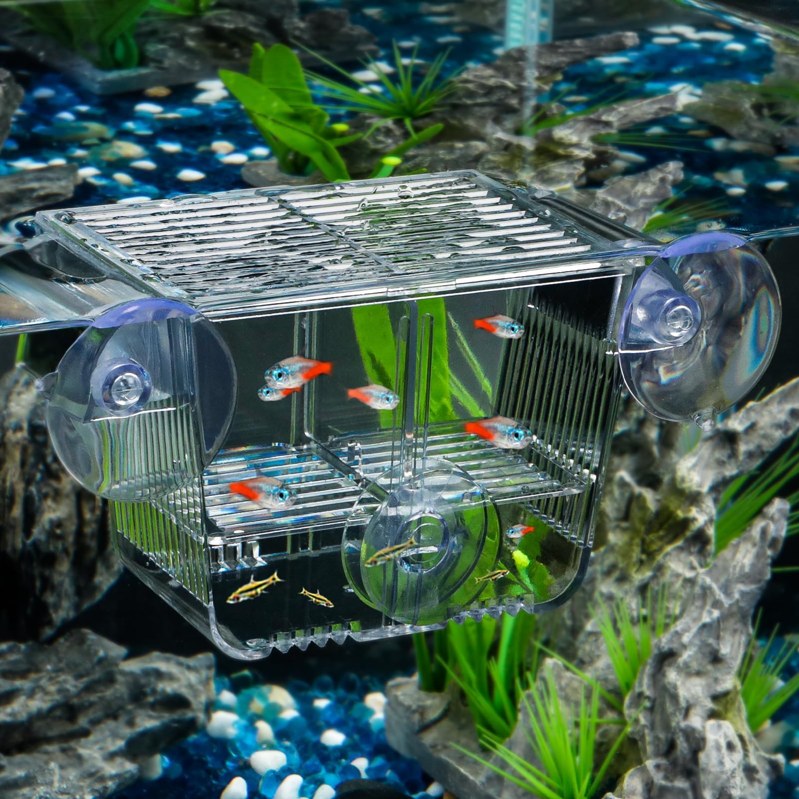 Aquarium Breeding Box