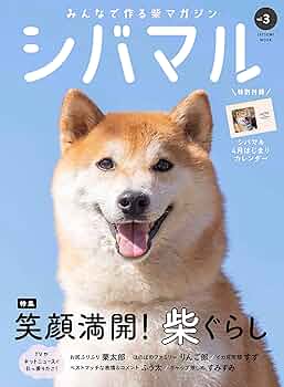特別価格！【原画（額縁無し）】『バシルマ』（犬　柴犬） 特別価格！【原画（額縁無し）】『バシルマ』（犬 柴犬）