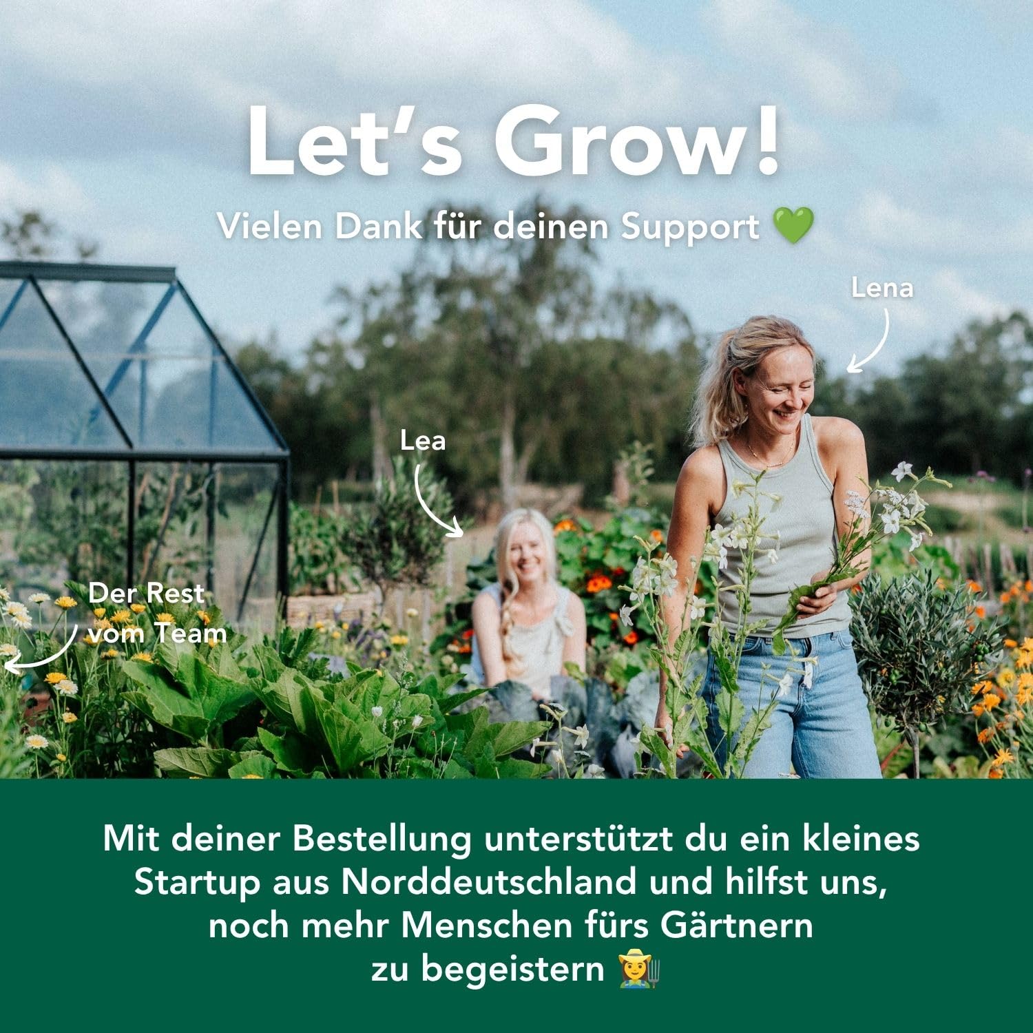 Bloomify® Olivenbaum "Olivia" | 80 bis 110 cm großes, mehrjähriges Olivenbaum-Stämmchen | geschützt winterharte und pflegeleichte Oliven-Pflanze für Terasse oder Balkon | sehr ertragreich