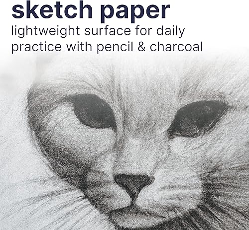 Miniatura 4 de Strathmore 25-508 STR-025-508 - Bloc de boceto de 100 hojas 8875 x 11 pulgadas 85 x 11 pulgadas blanco