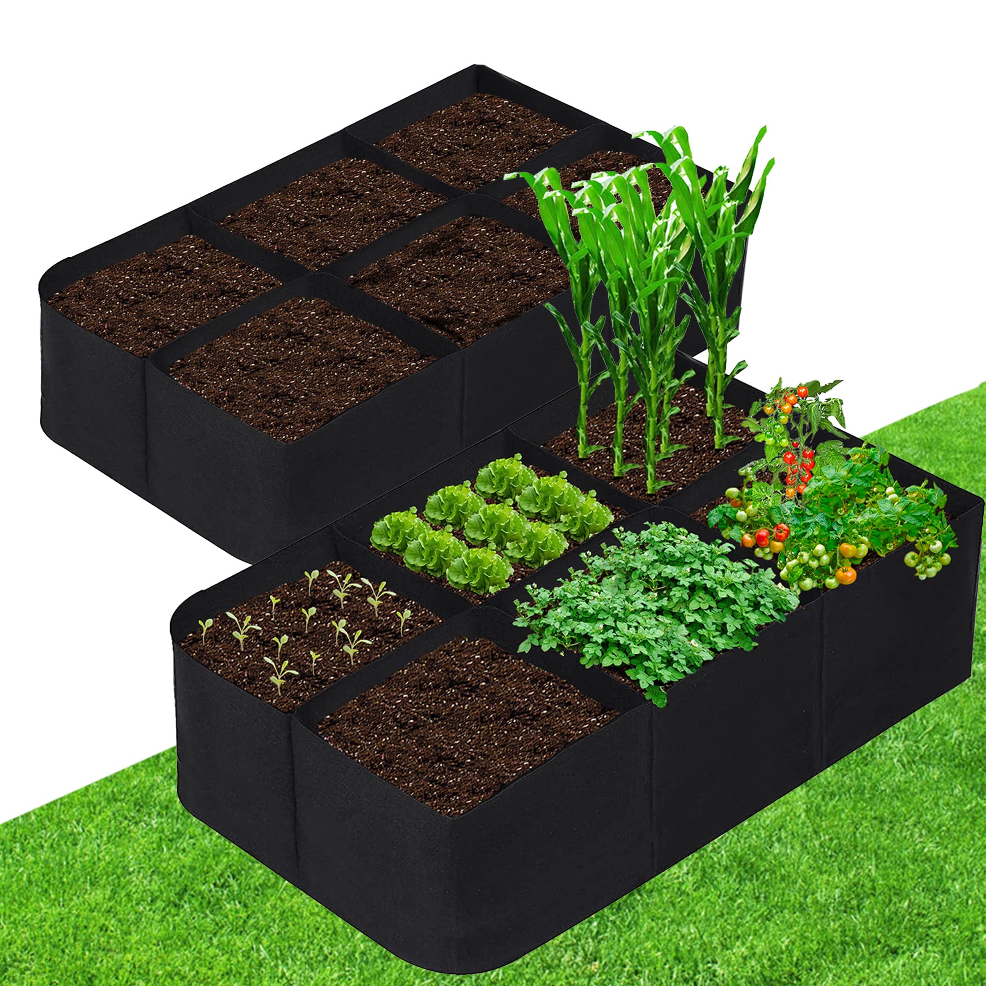 Amazon.com : CJGQ Fabric Raised Garden Bed 4x2x1ft Garden Grow Bed  display picture 1