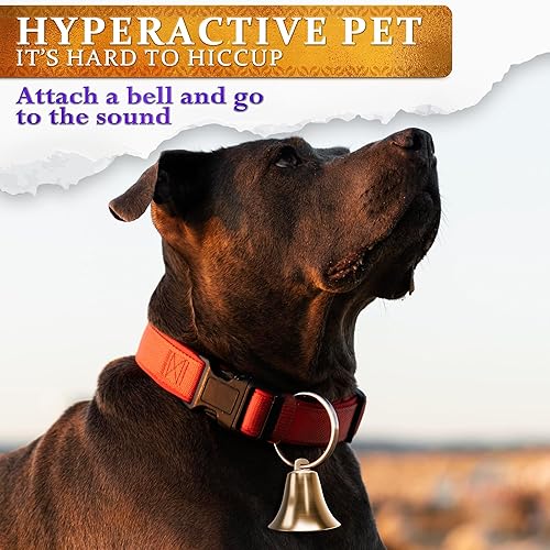 Miniatura 8 de 2 campanas para perilla de puerta, campana colgante para apertura de puerta de 2 x 1.8 pulgadas, latón vintage con lazo para colgar, sonido claro