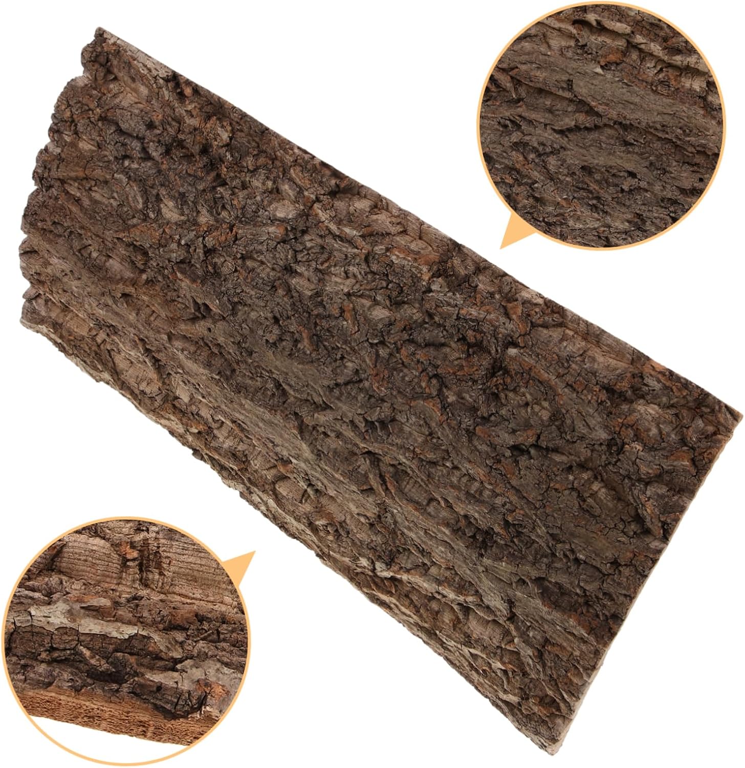 BESPORTBLE Reptile Terrarium Bark Background Decoration Natural Tree Bark for Aquariums Reusable Tank Decor for Reptiles and Aquatic Animals to