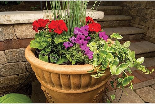 Miniatura 10 de Rain Bird - Kit de riego por goteo con goteros, microindundadores y microaspersores para paisajes y jardines, modelo LNDDRIPKIT, color negro con