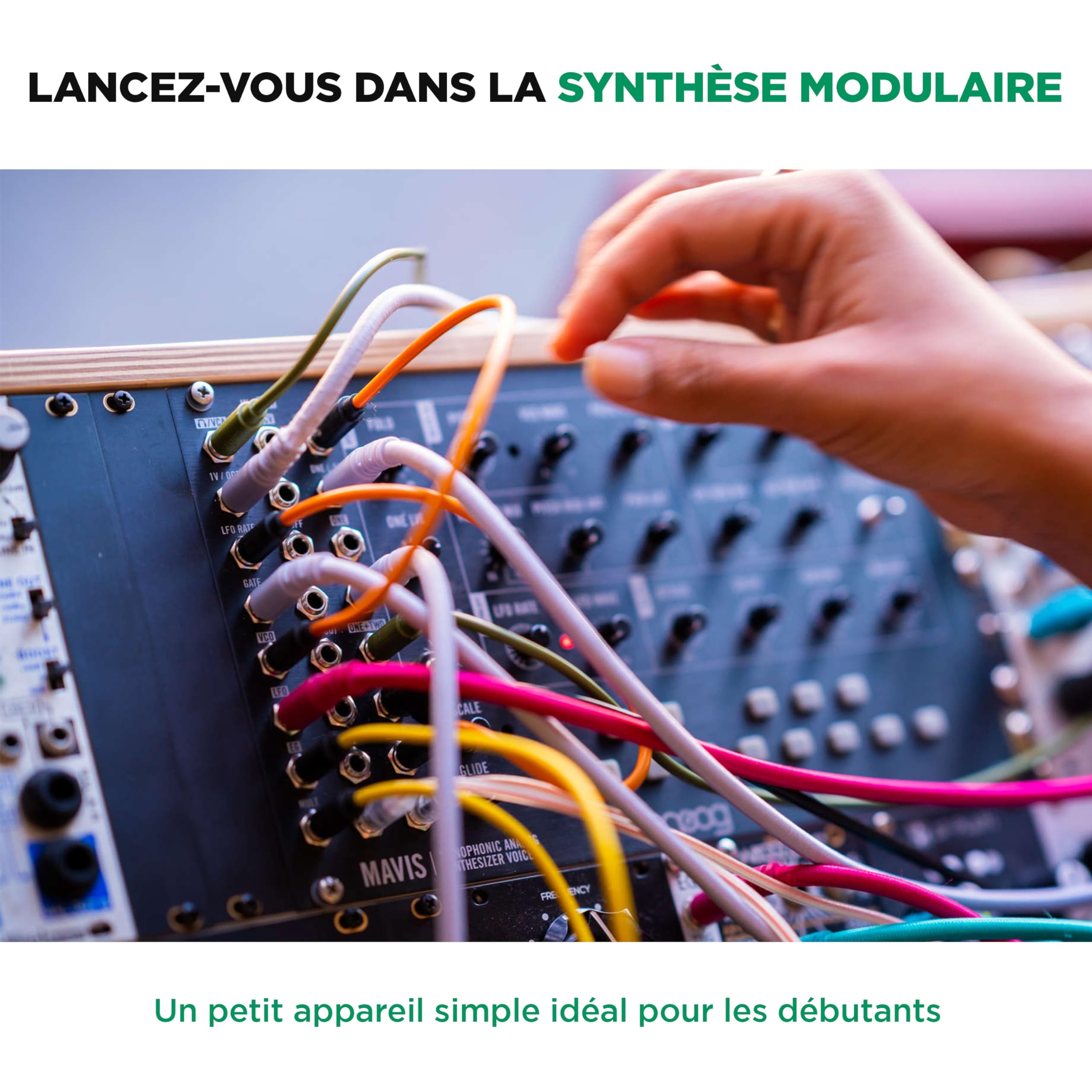MOOG Mavis - Synthétiseur Analogique Autonome Semi-Modulaire avec Clavier, Oscillateur Analogique, Filtre, Générateur d'Enveloppe, Wavefolder
