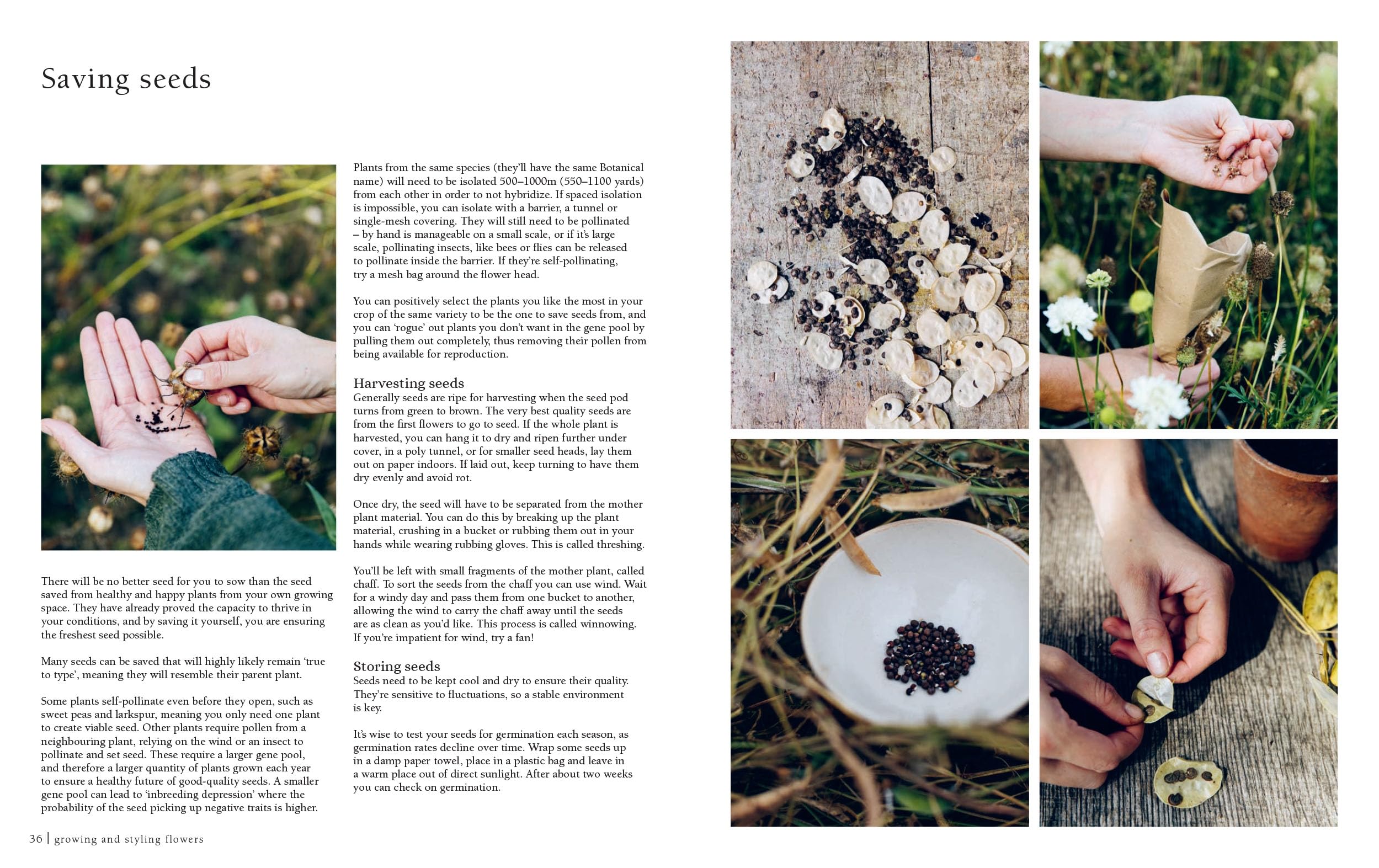 From Seed to Bloom: A Year of Growing and Designing With Seasonal Flowers