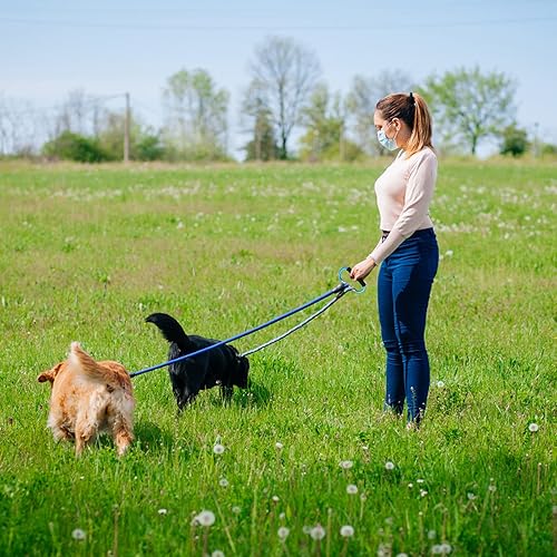 Miniatura 7 de sansheng 4 mosquetones grandes  5.5 pulgadas estilo D clic y transporte bolsa transportadora mosquetón