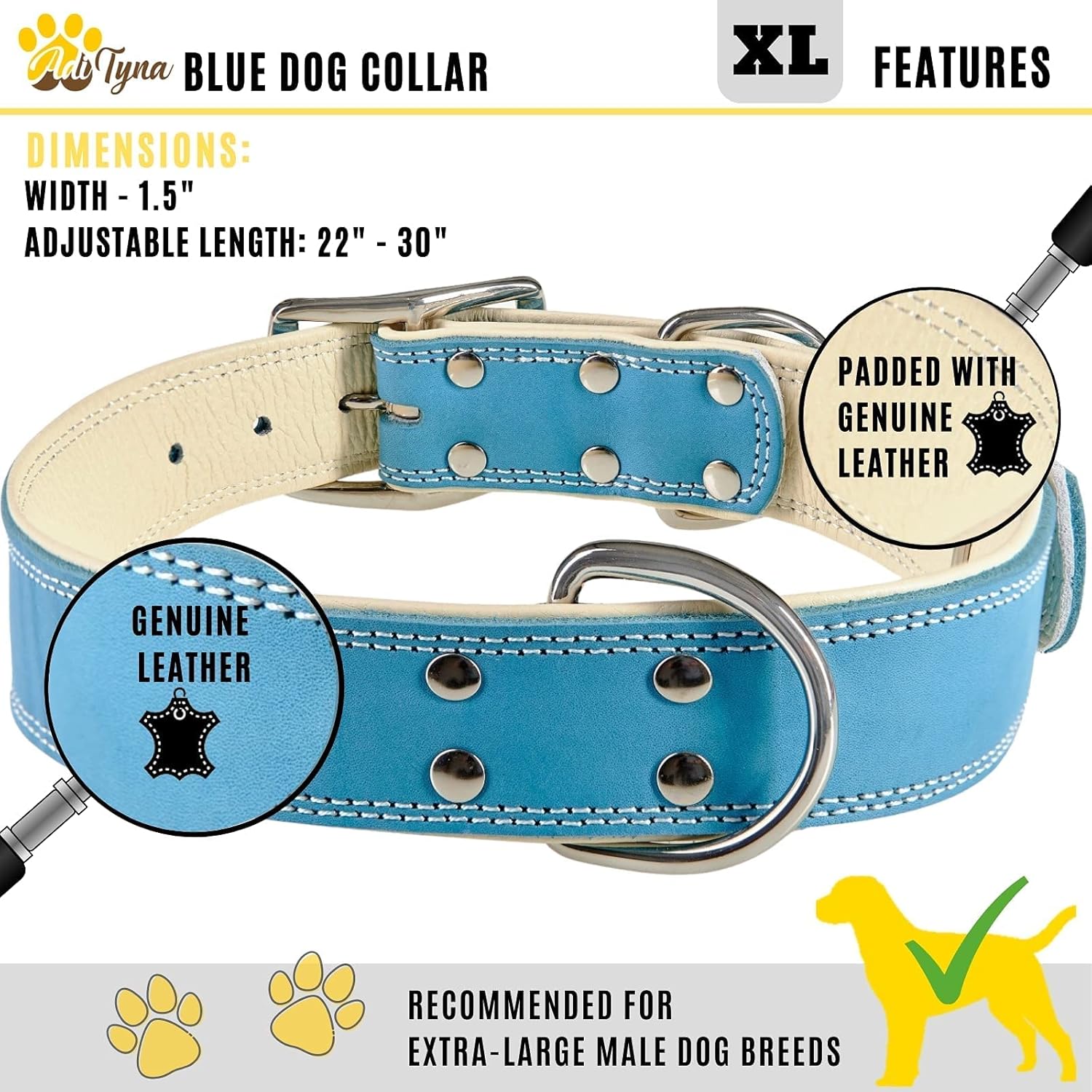 ADITYNA Heavy-Duty Blue Leather Dog Collar for Extra-Large Dogs - Soft Padded for Comfort - XL Dog Collar for Walking, Training, and Hiking