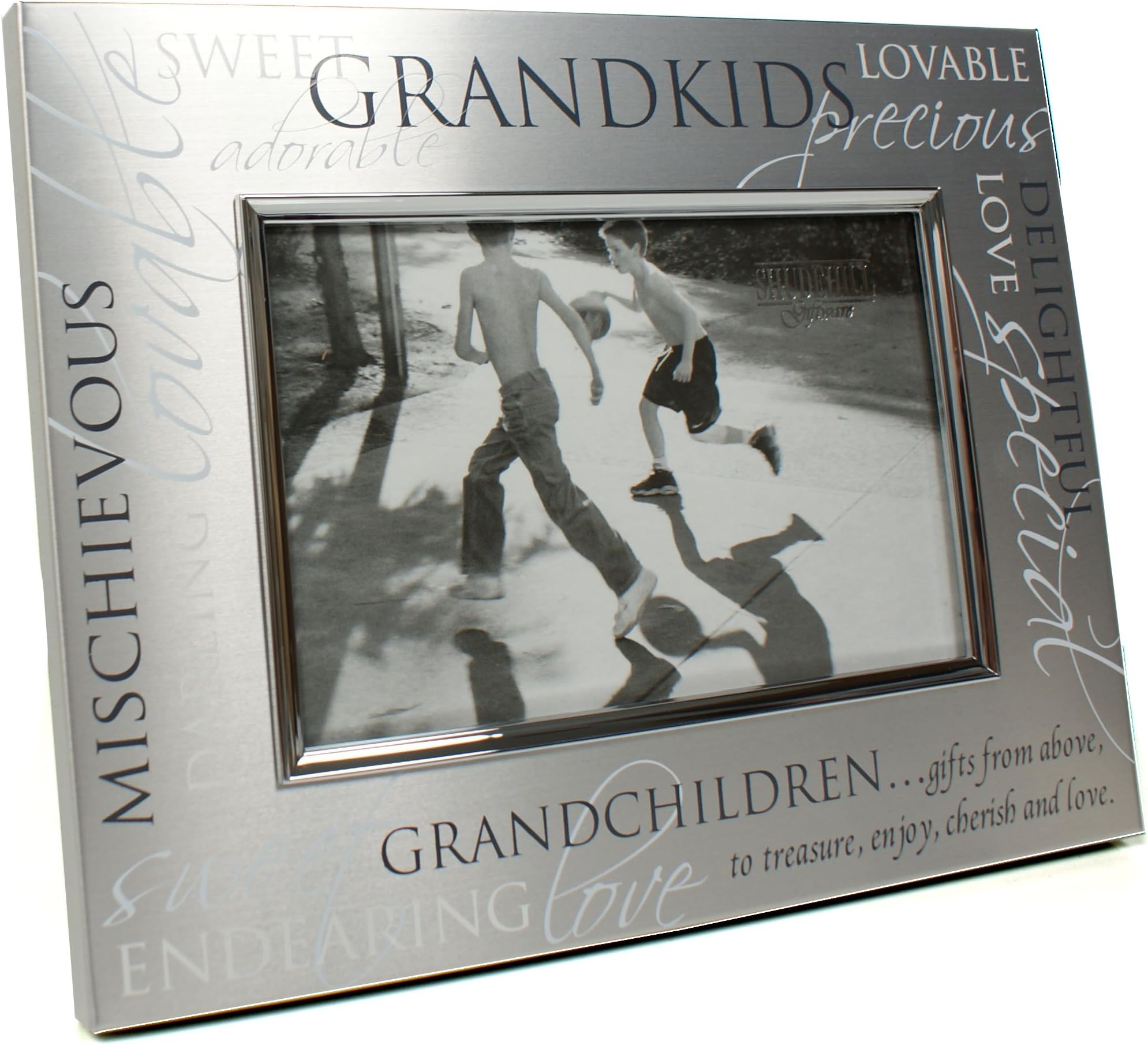 Grandchildren Satin Silver Photo Frame - Grandkids