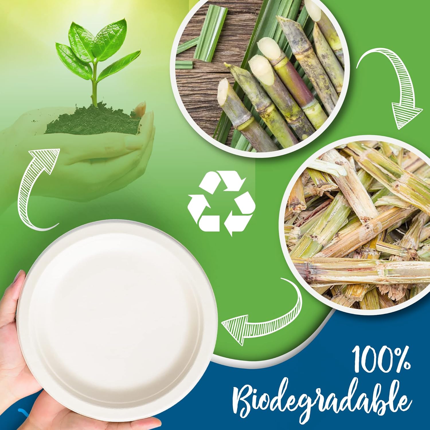 SafeWare White Paper Plates, 9 Inch, 150 Count - Food Grade Sugar Cane Fiber, Compostable & Biodegradable, Microwavable, Hot & Cold Resistant, Heavy Duty Disposable Plates Bulk