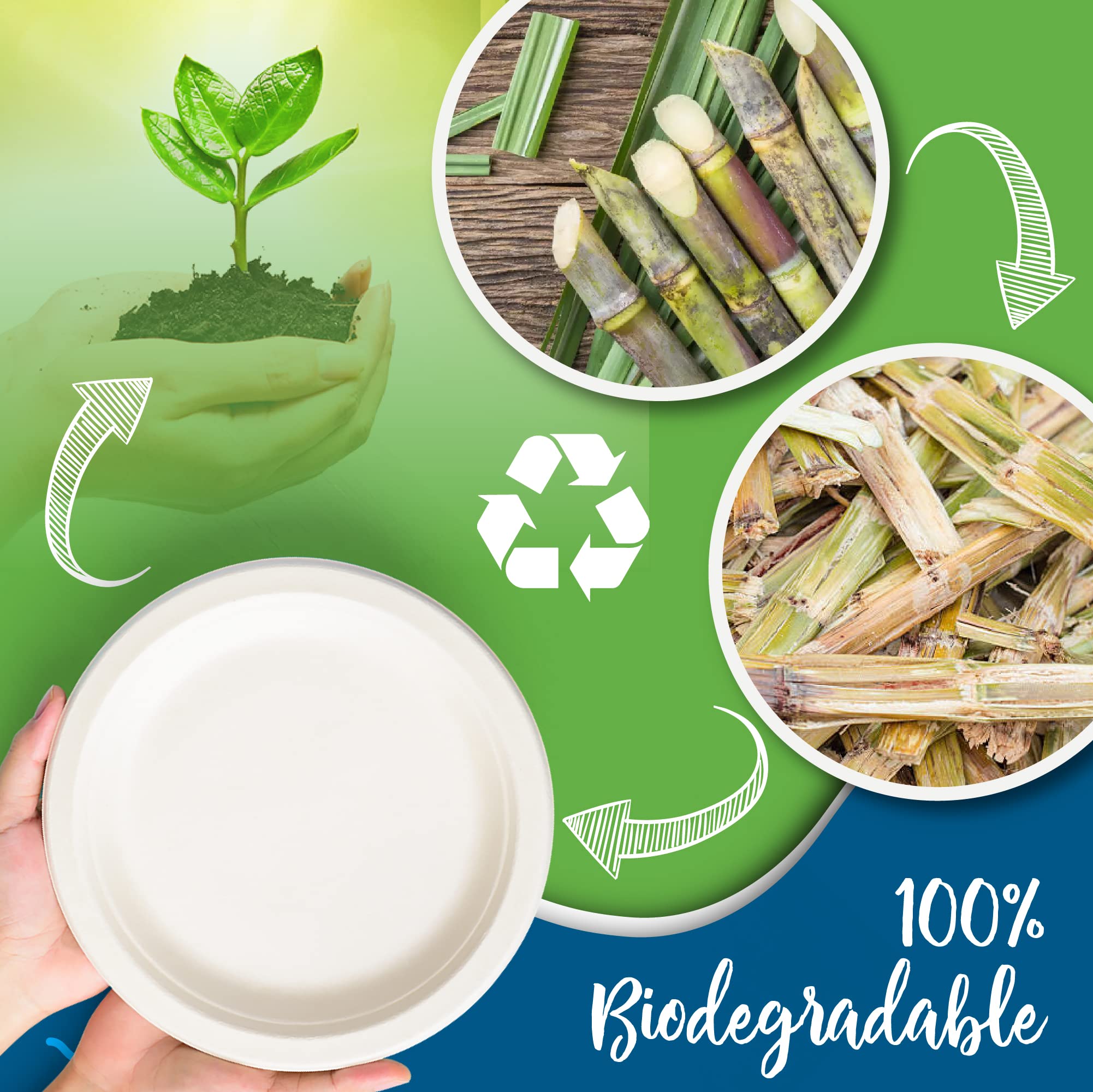 Platos de papel blanco, 10 pulgadas, 150 unidades, fibra de caña de azúcar de grado alimenticio, compostables y biodegradables, aptos para microondas, resistentes al calor y al frío, platos