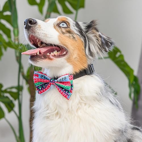 Miniatura 5 de Huxley & Kent Pajarita para mascotas  Suéter feo (pequeño)  Accesorio de lazo de velcro para Navidad  Divertidas pajaritas para perros y gatos