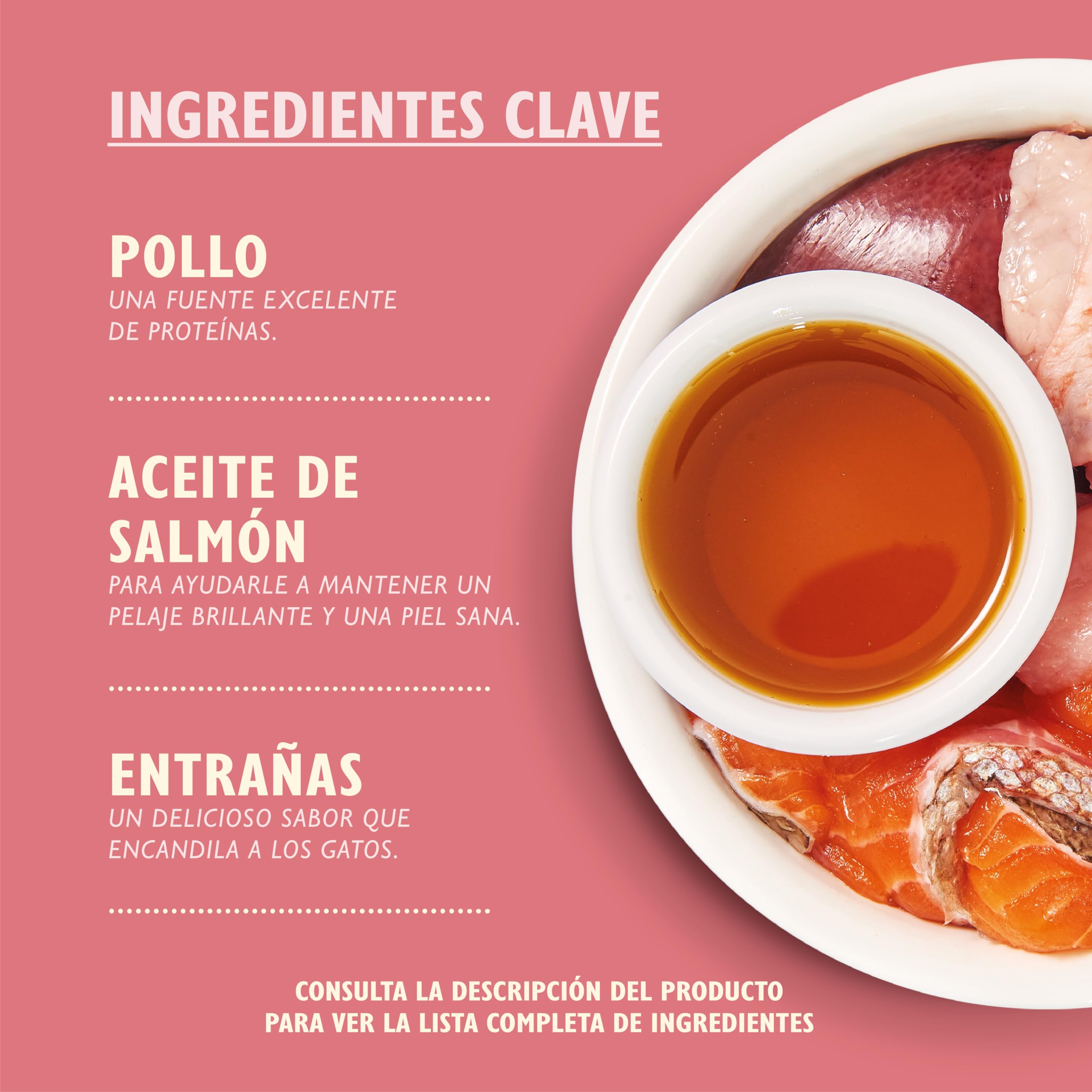 Lily's Kitchen Paté Suave para Gatito, Pollo + Ternera (19 x 85 g)