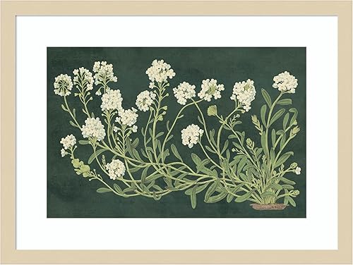 Amanti Art Framed Wall Art Print 16x21 Vintage Flowers on Green by Wild Apple, Nature Wall Art, Vintage Decor, Small Poster Painting Artwork for