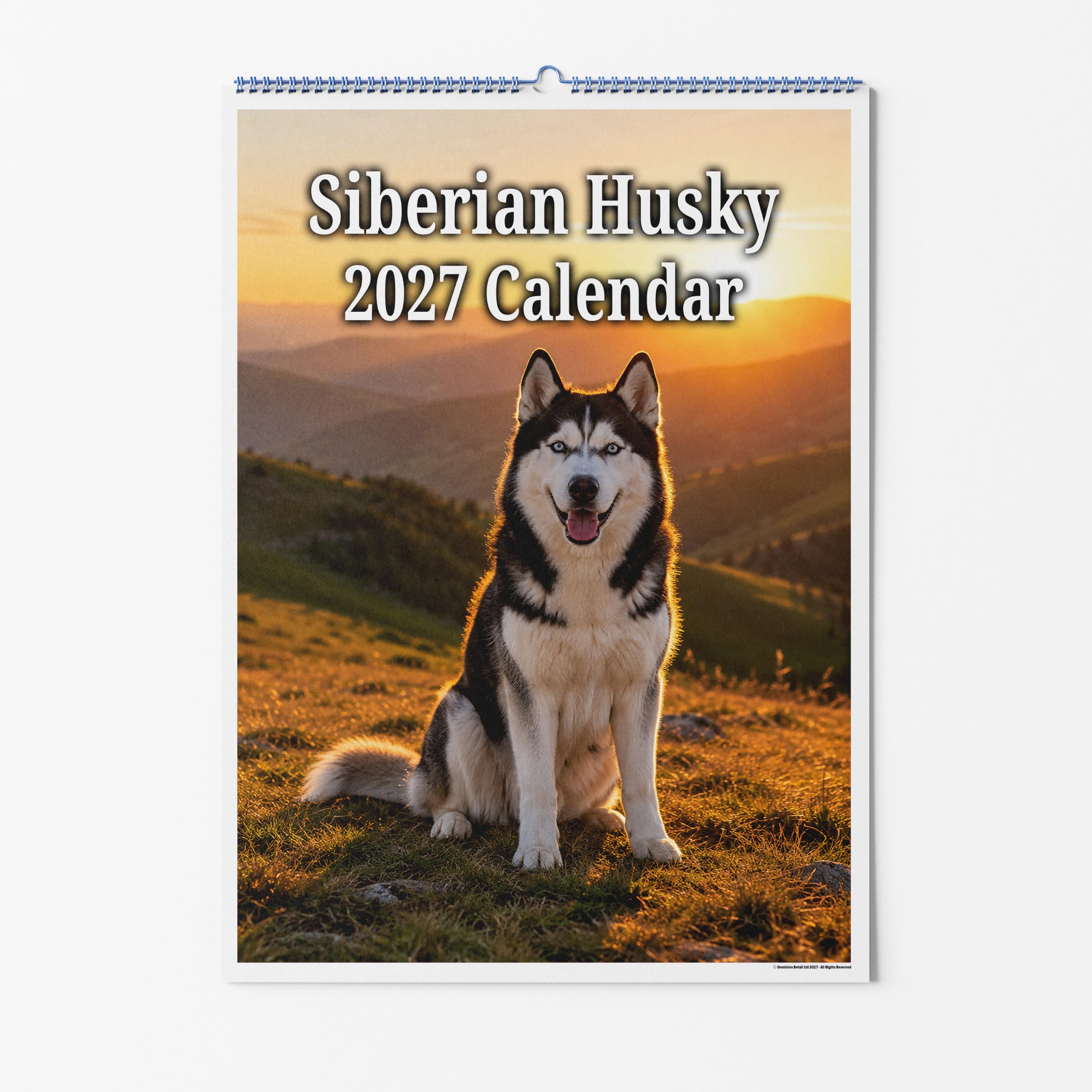 Party People A4 Wall Calendar - Siberian Husky Dog 2027 โ image 1