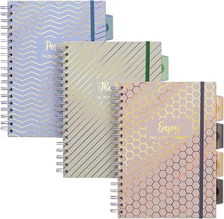 Pukka Pad Haze B5 Notebook – Pack of 3 Wirebound Notebooks with 5 Repositionable Dividers with Storage Pockets and Tabs for Organisation and Personalisation – 200 Pages, 100 Sheets of 80GSM Paper