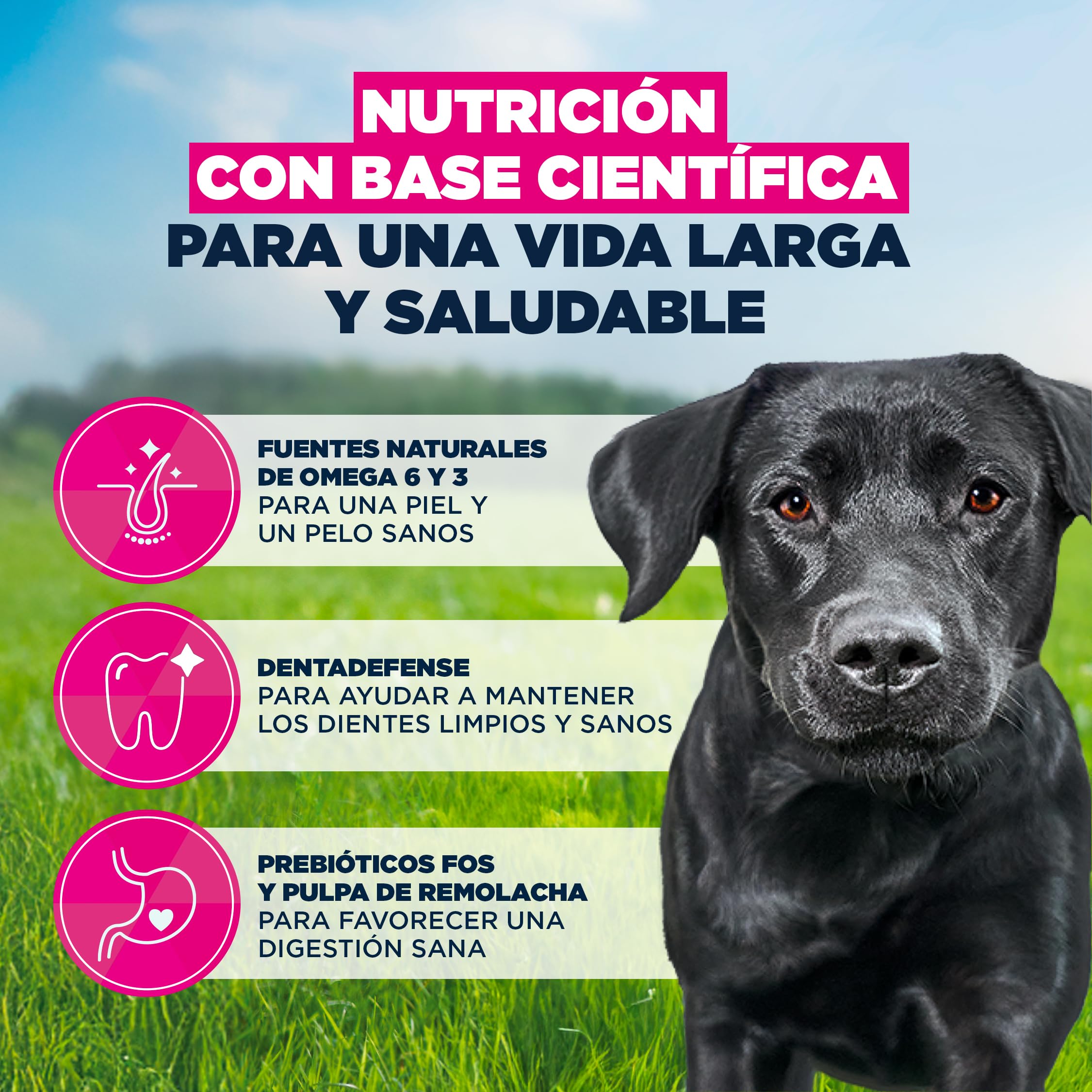 Eukanuba, alimento seco para Perros con Pollo Fresco para Razas Grandes - Alimento seco Premium para Perros Adultos, 15 kg