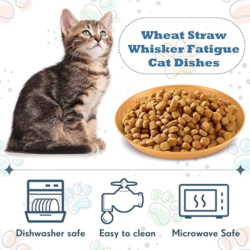 Miniatura 10 de 6 piezas de platos de comida poco profundos para gatos sin fatiga cuencos de alimentación húmedos para gatos platos anchos y pequeños de PET para