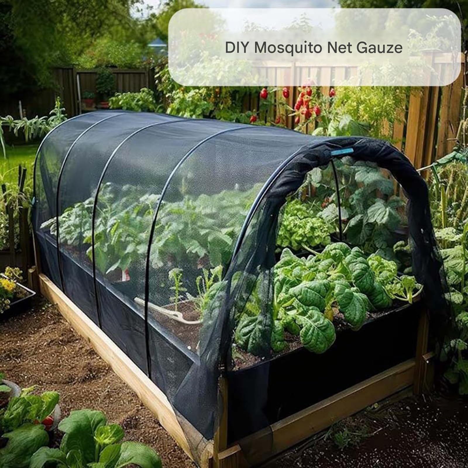 View 7