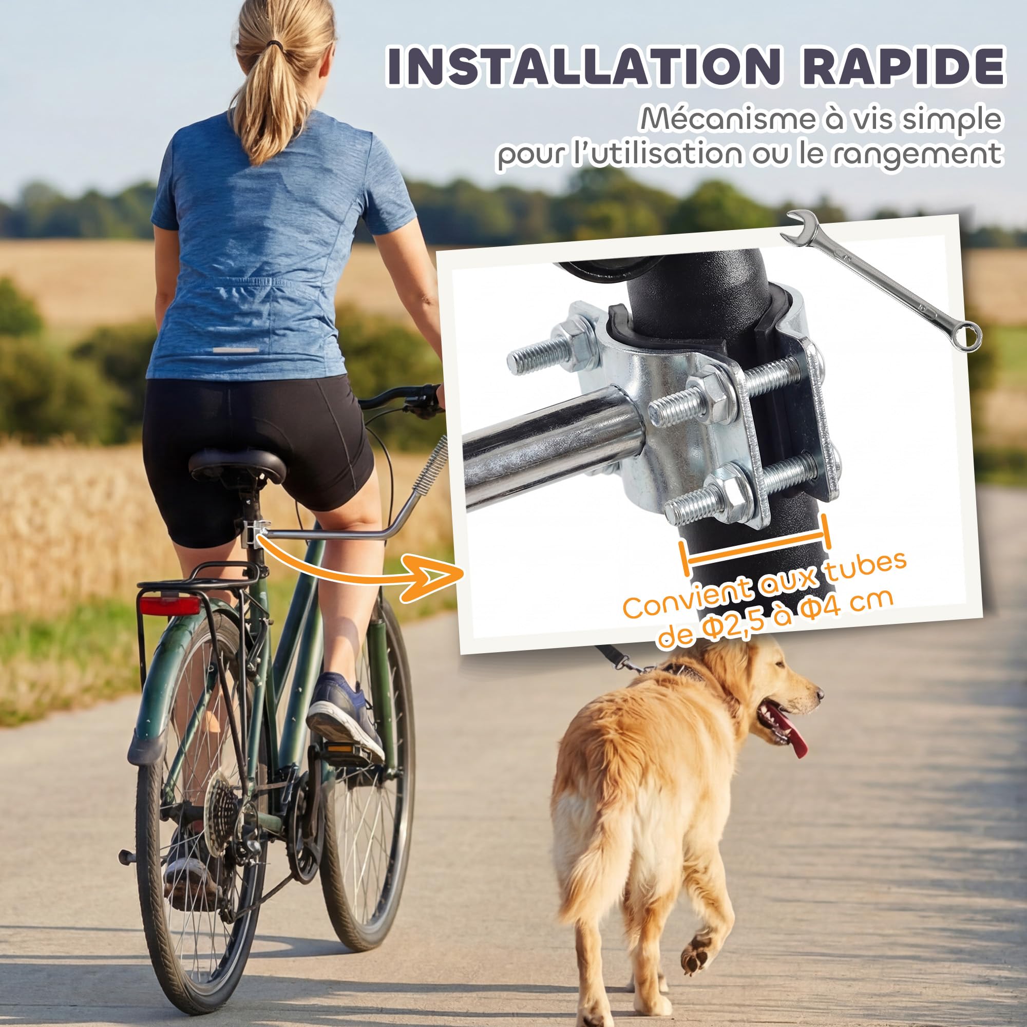 PawHut Laisse de Vélo pour Chien 180 cm en INOX, Fixation Rapide, Ressort Amortisseur, Sangle Ajustable, Vélo pour Chien Mains Libres, Laisse d'exercice pour Entraînement Jogging Cyclisme, Argent